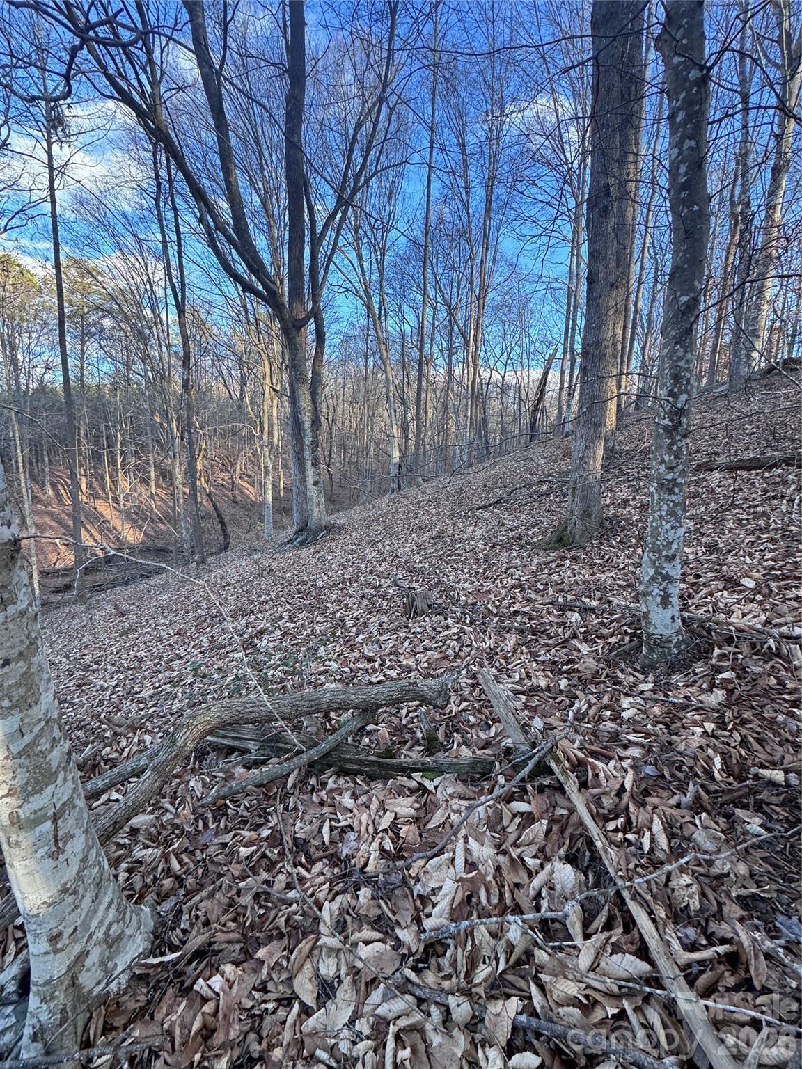 Lot at 0 Creekside Circle, Rutherfordton, photo 11 of 16