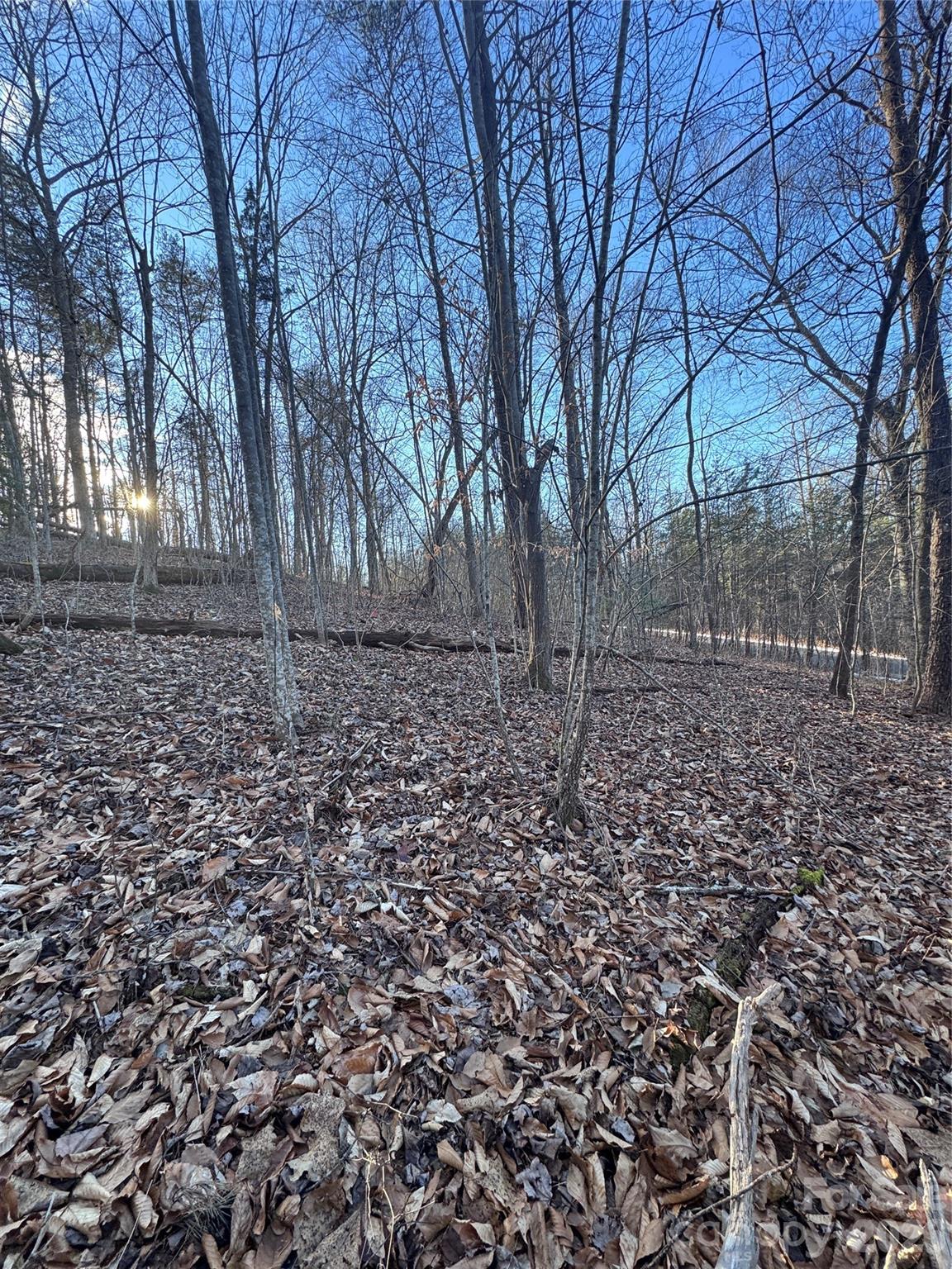 Lot at 0 Creekside Circle, Rutherfordton, photo 12 of 16