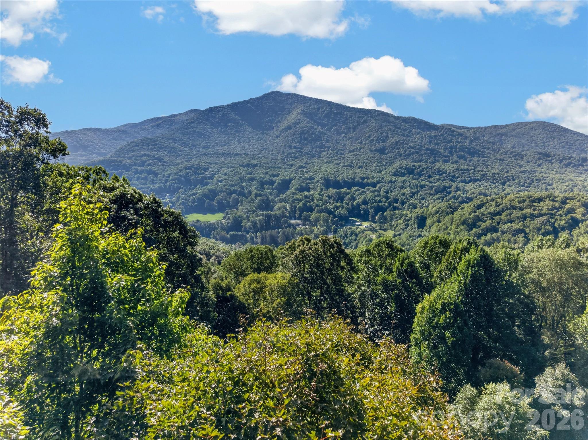 Once cleared, views should be lovely! - 99999 Trillium End Lane, Waynesville