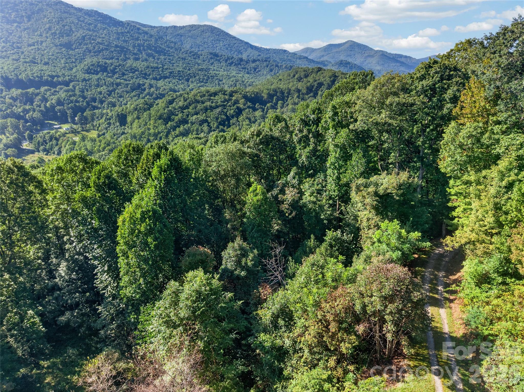 Long range views! - 99999 Trillium End Lane, Waynesville