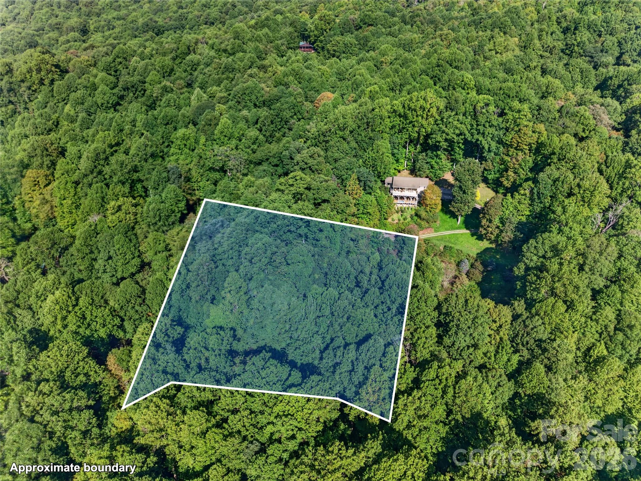 All the property! - 99999 Trillium End Lane, Waynesville