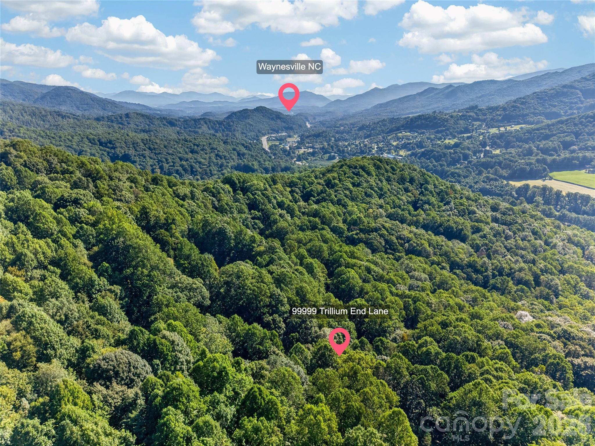 Close to all Waynesville amenities! - 99999 Trillium End Lane, Waynesville