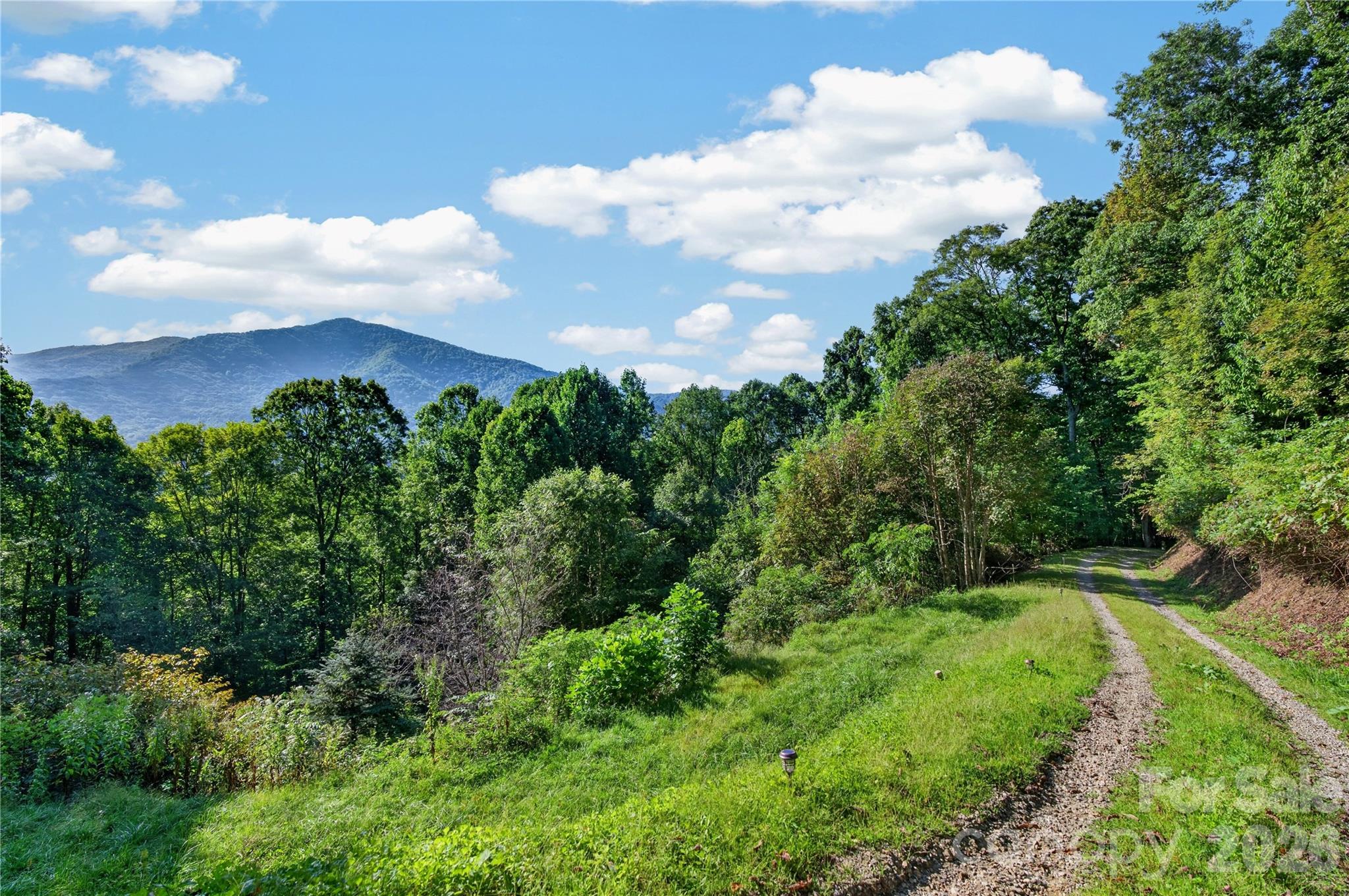 Beautiful wooded property, ready for your build - 99999 Trillium End Lane, Waynesville