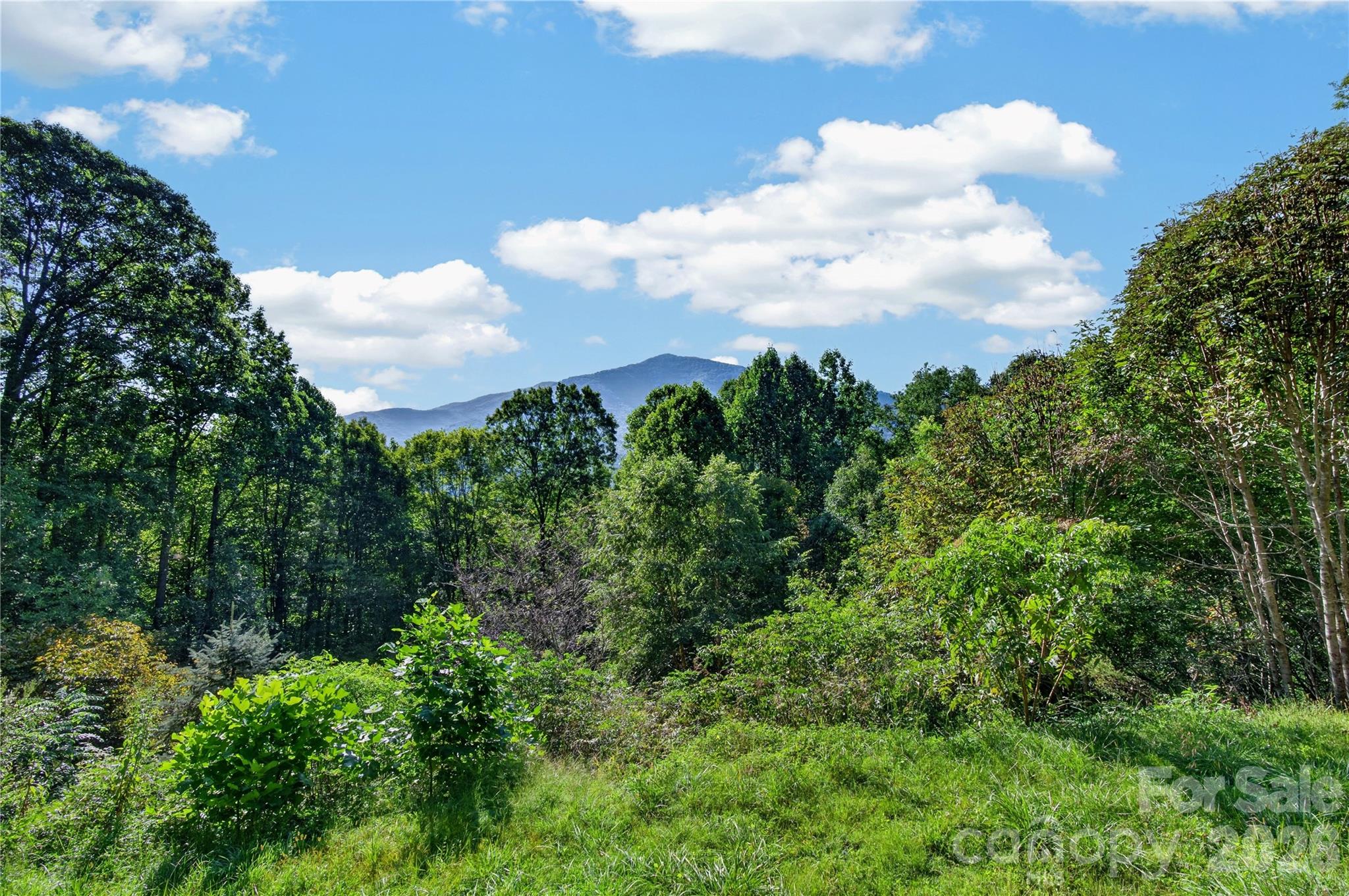 Mountain life dreaming - 99999 Trillium End Lane, Waynesville