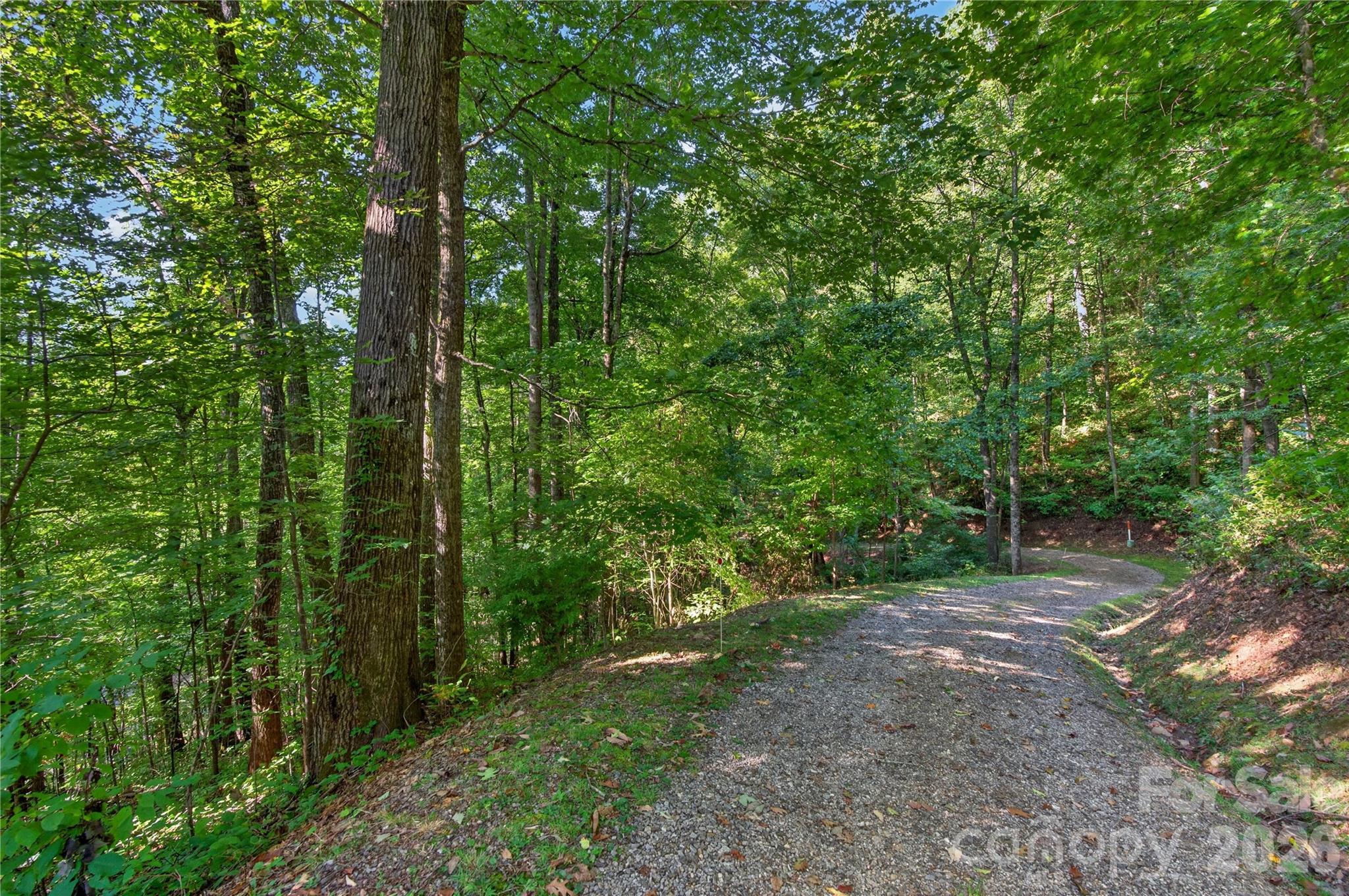 Escape to relaxing Balsam Forest! - 99999 Trillium End Lane, Waynesville
