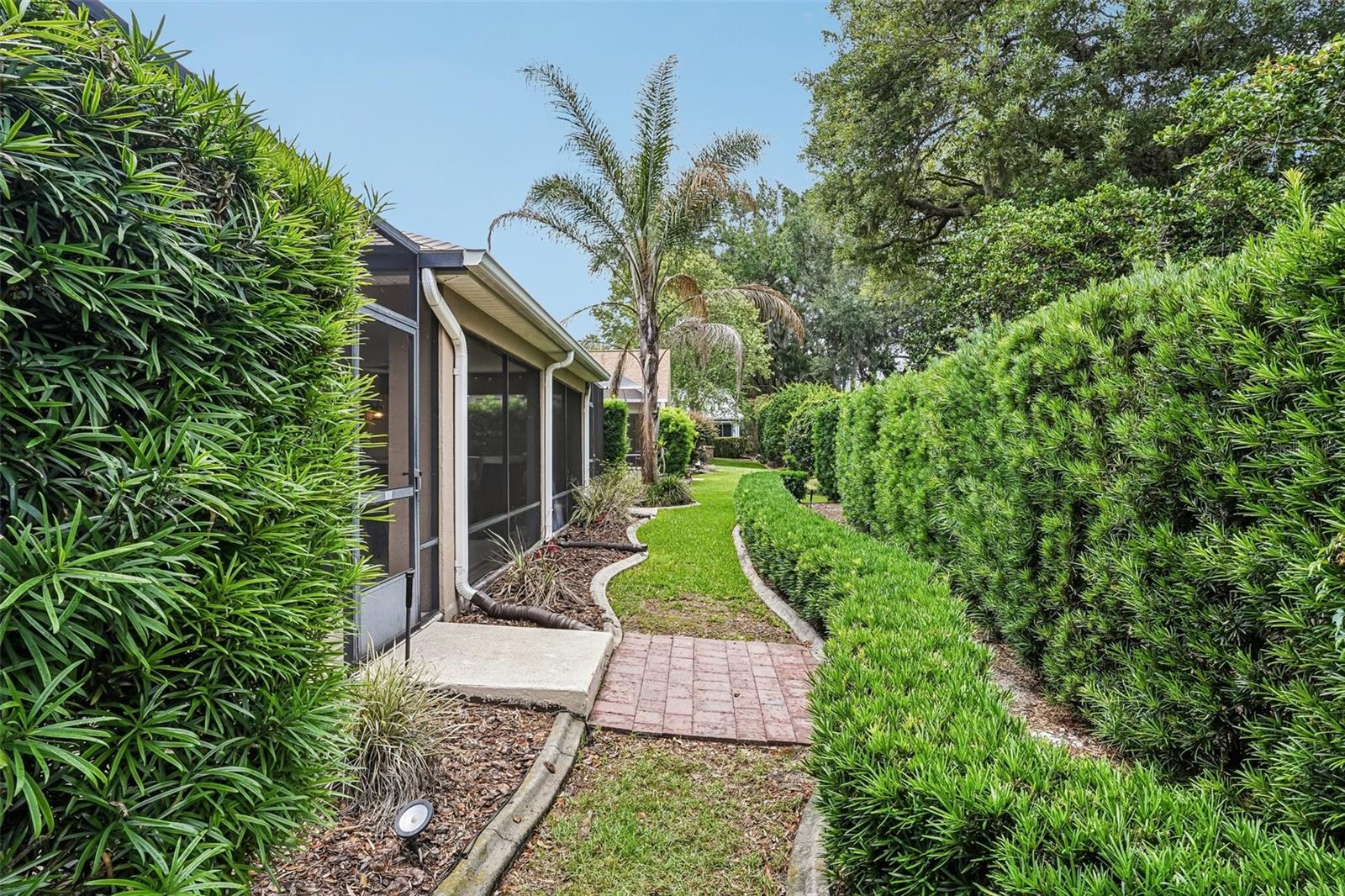 and talk about privacy - 17115 SE 93RD TELLFIER TER, THE VILLAGES