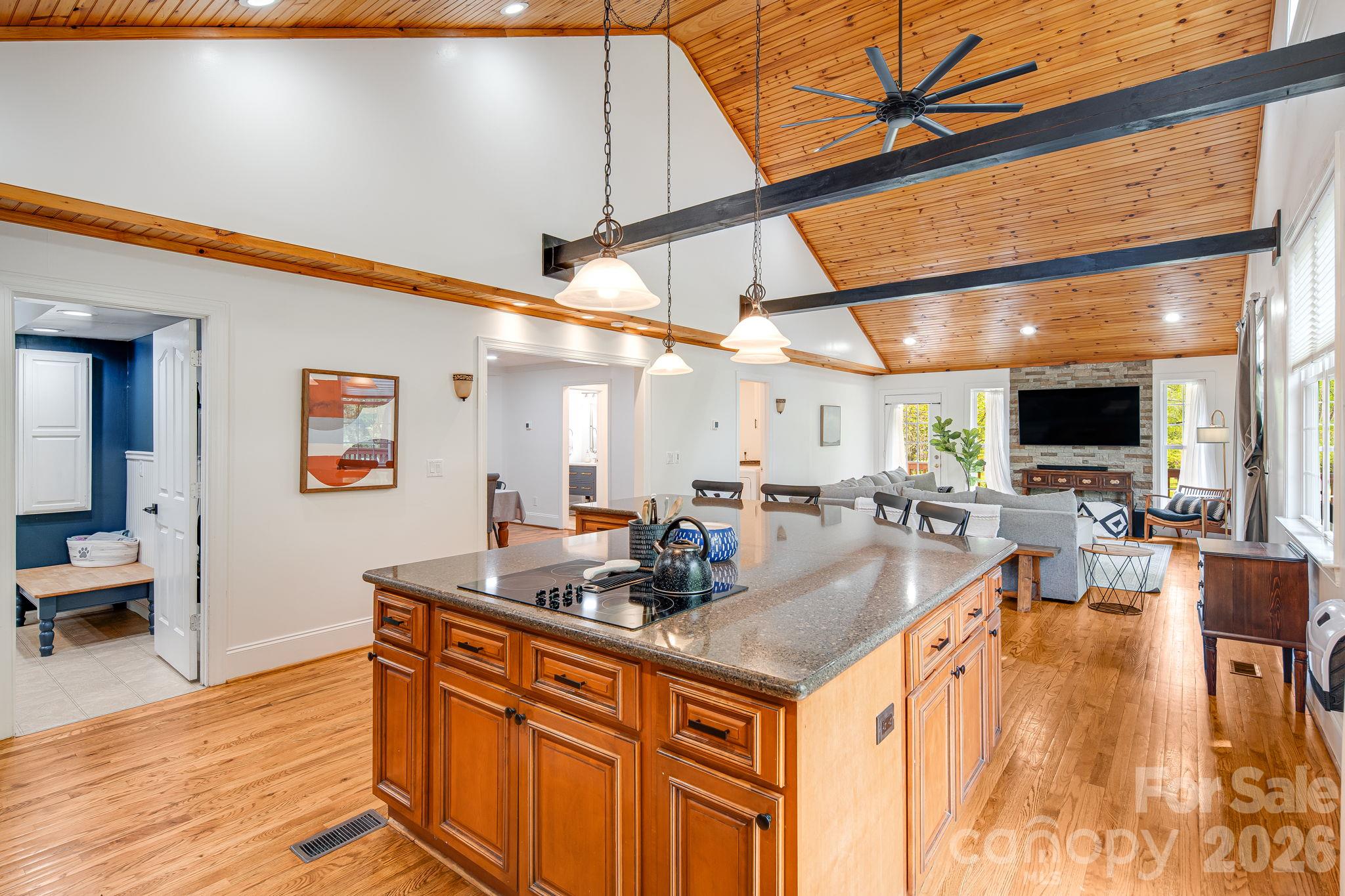 Single Family Residence at 101 McFalls Road, Asheville, photo 4 of 39