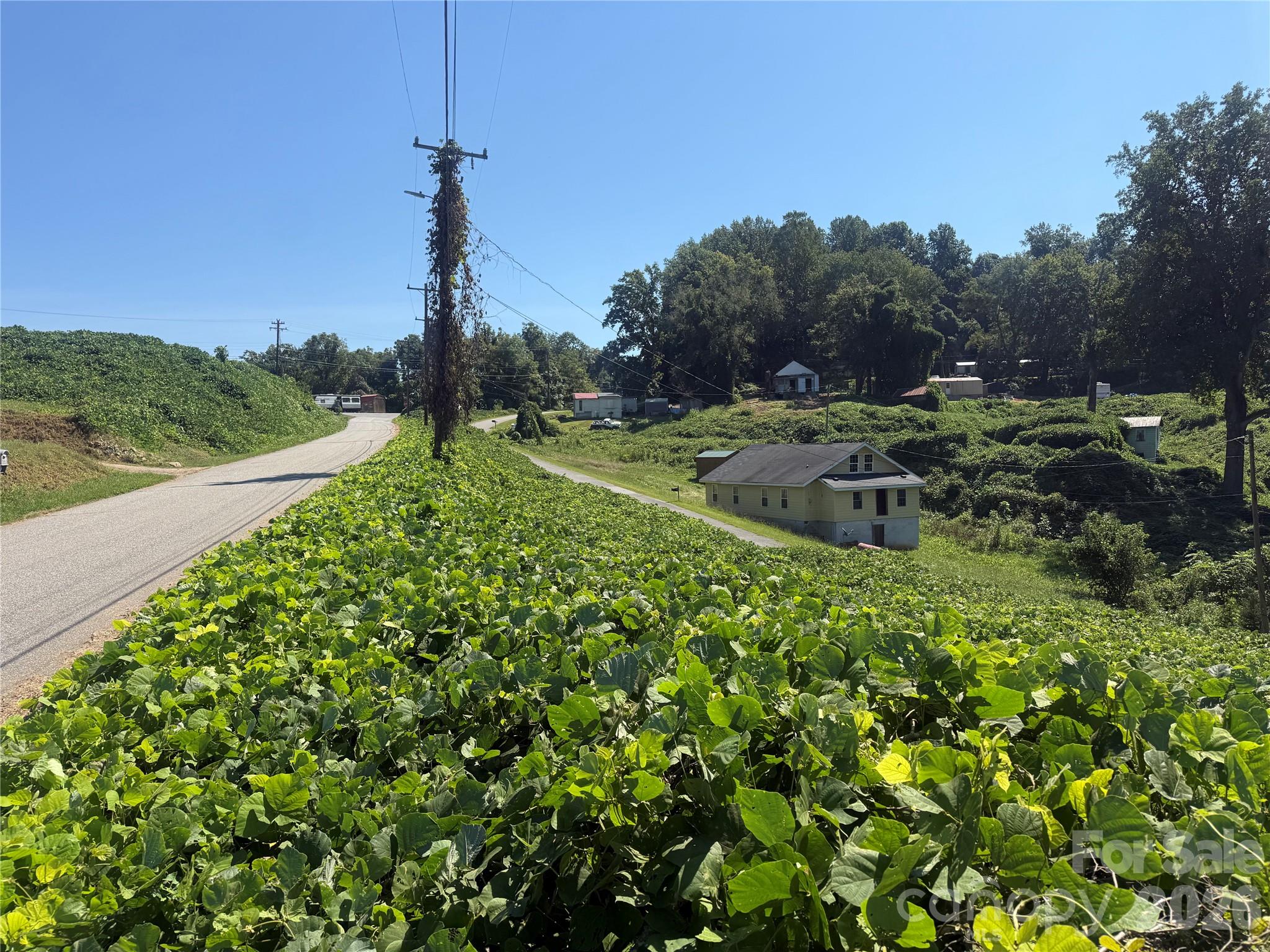 View from upper end - 00 Greenlee Road, Marion