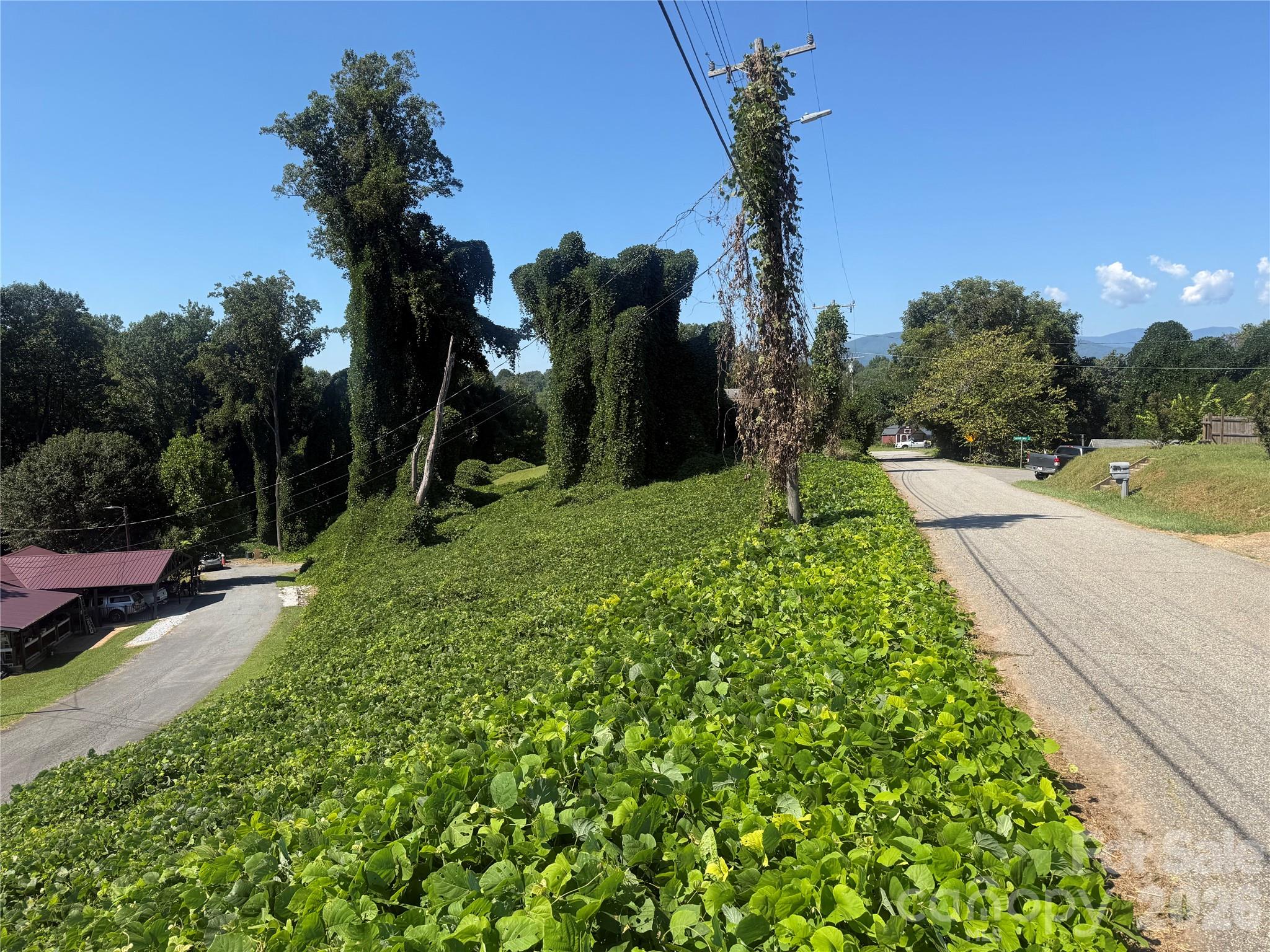 View from upper end - 00 Greenlee Road, Marion