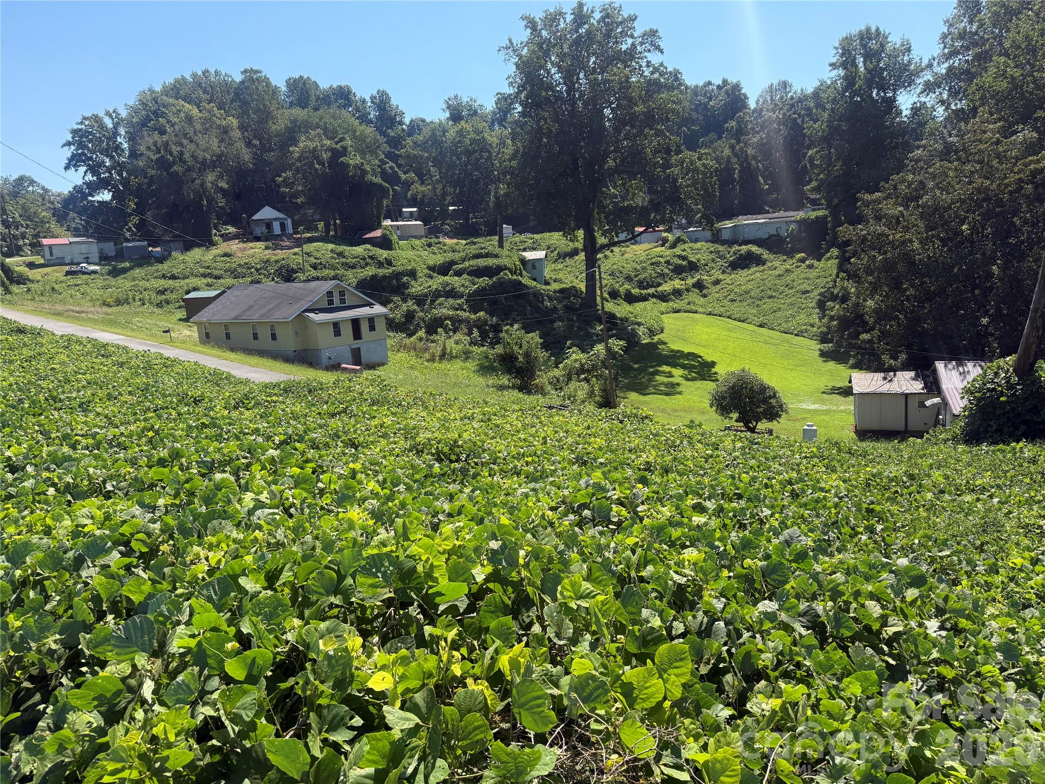 View from upper end - 00 Greenlee Road, Marion