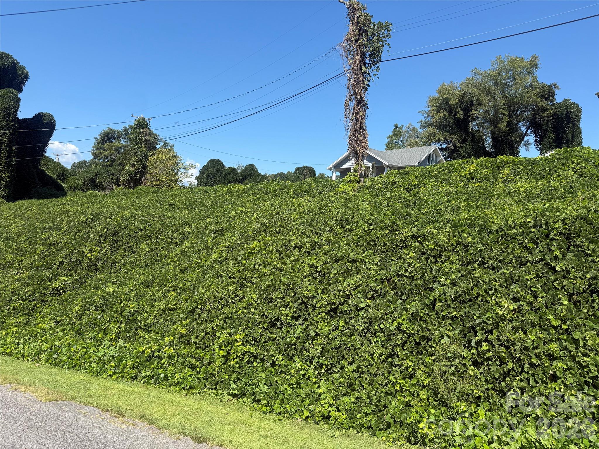 view from lower end - 00 Greenlee Road, Marion