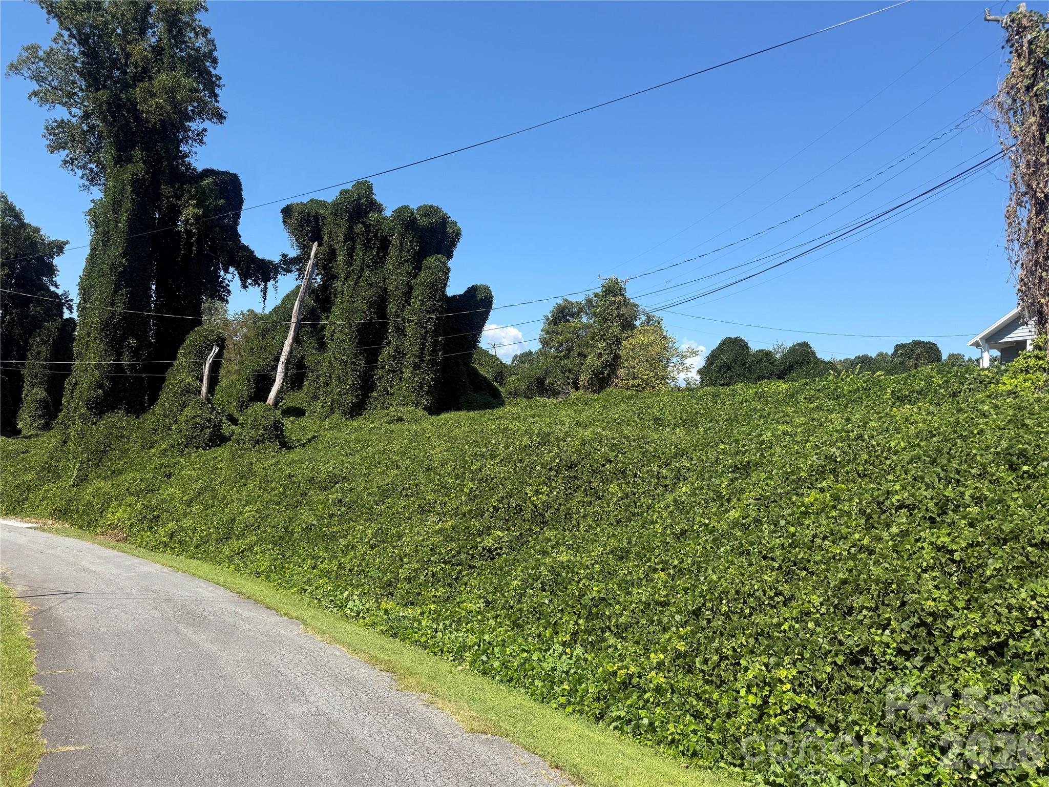 view from lower end - 00 Greenlee Road, Marion