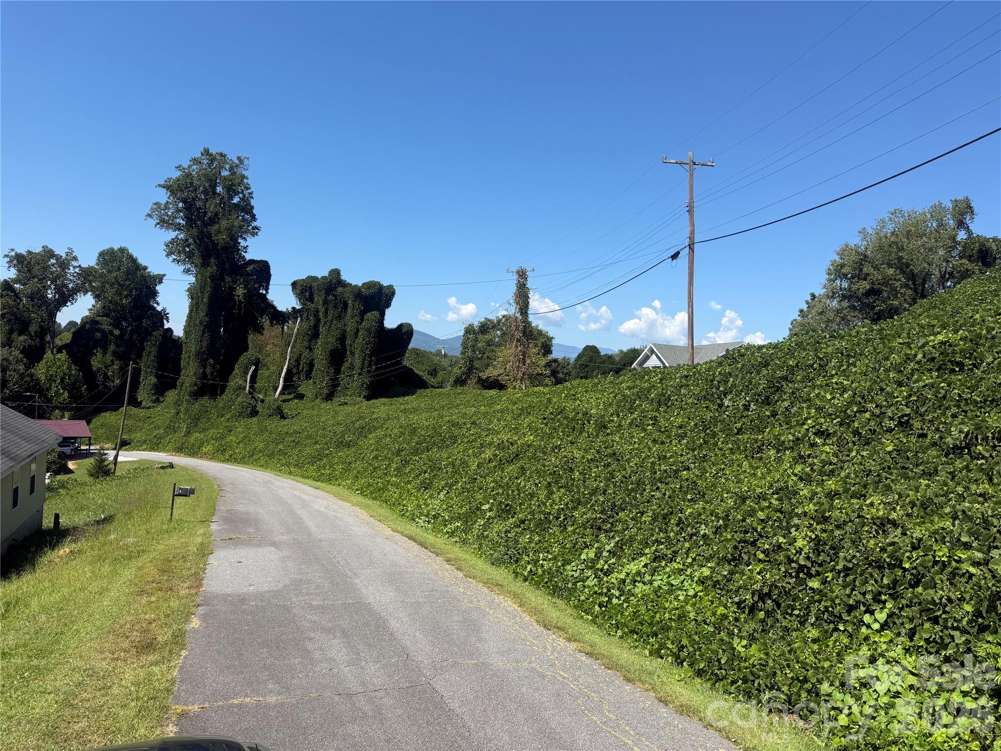 view from lower end - 00 Greenlee Road, Marion