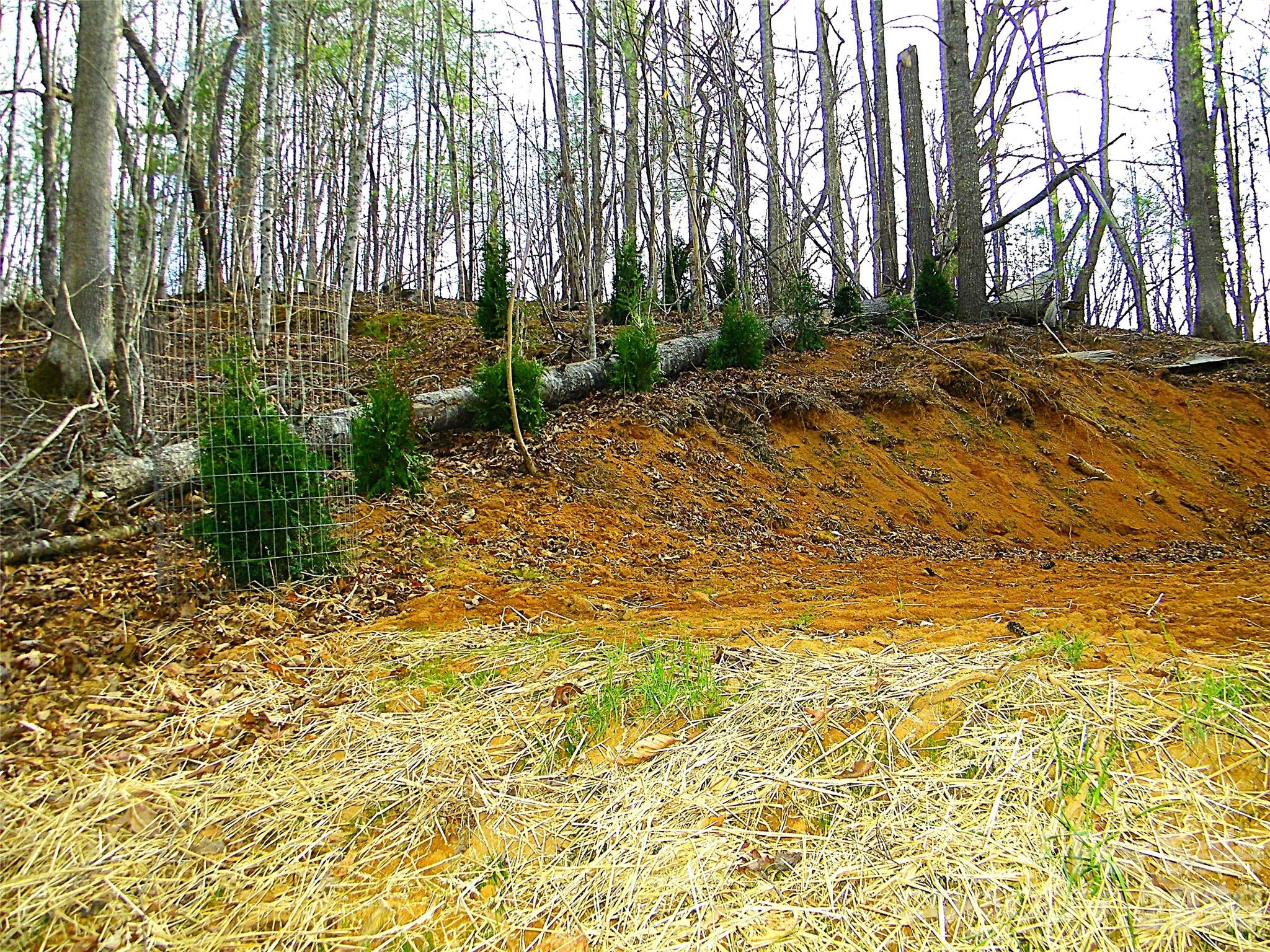 Level building area. - 148 Fish Pond Lane, Burnsville