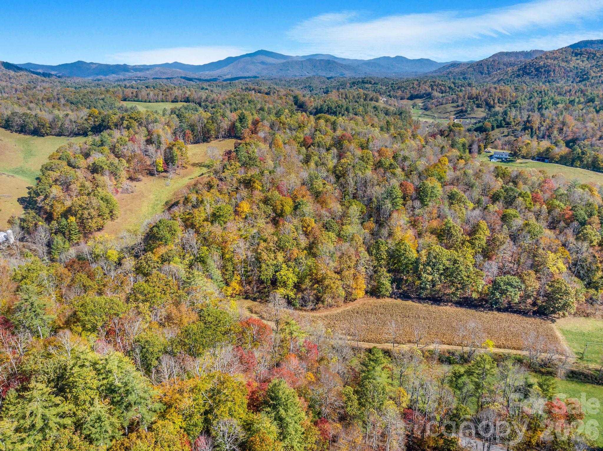 Lot at 148 Fish Pond Lane, Burnsville, photo 13 of 21