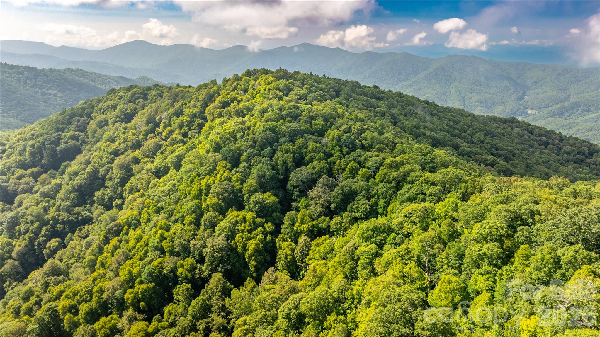 Acreage at 99999 East Alarka Road, Bryson City, photo 2 of 13