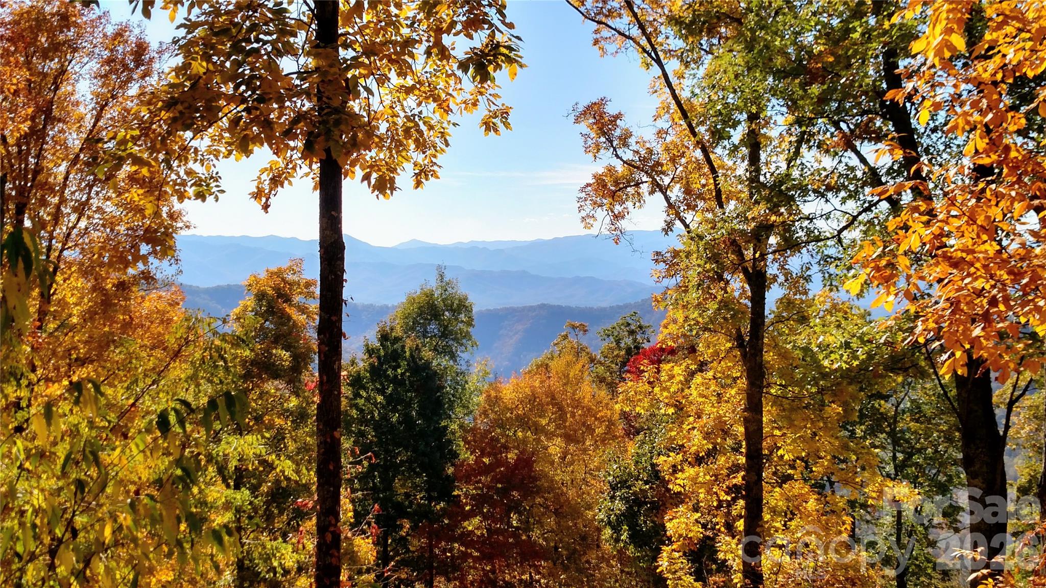 Acreage at 99999 East Alarka Road, Bryson City, photo 11 of 13