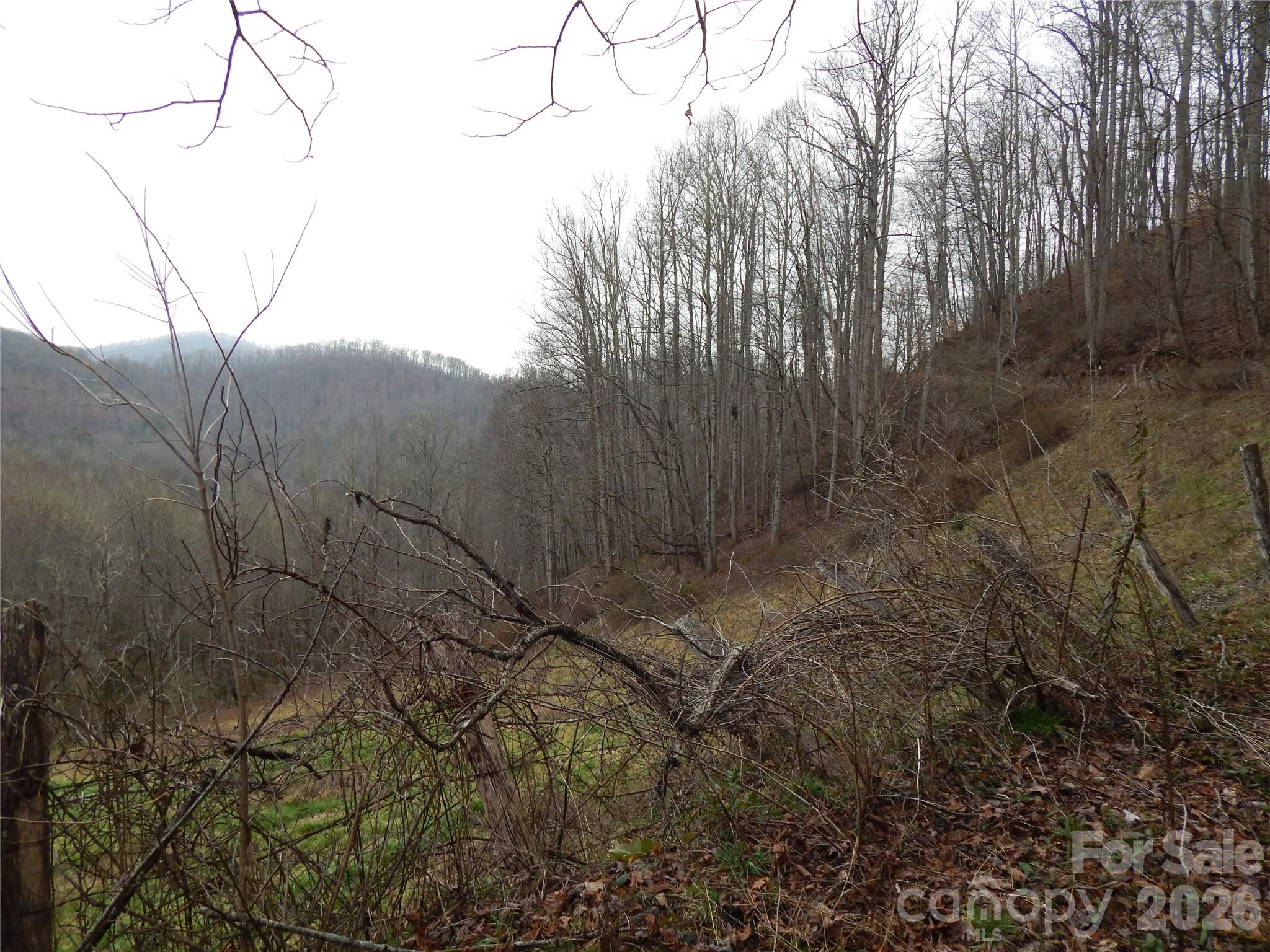 Acreage at 00 Henry Road, Sylva, photo 7 of 25
