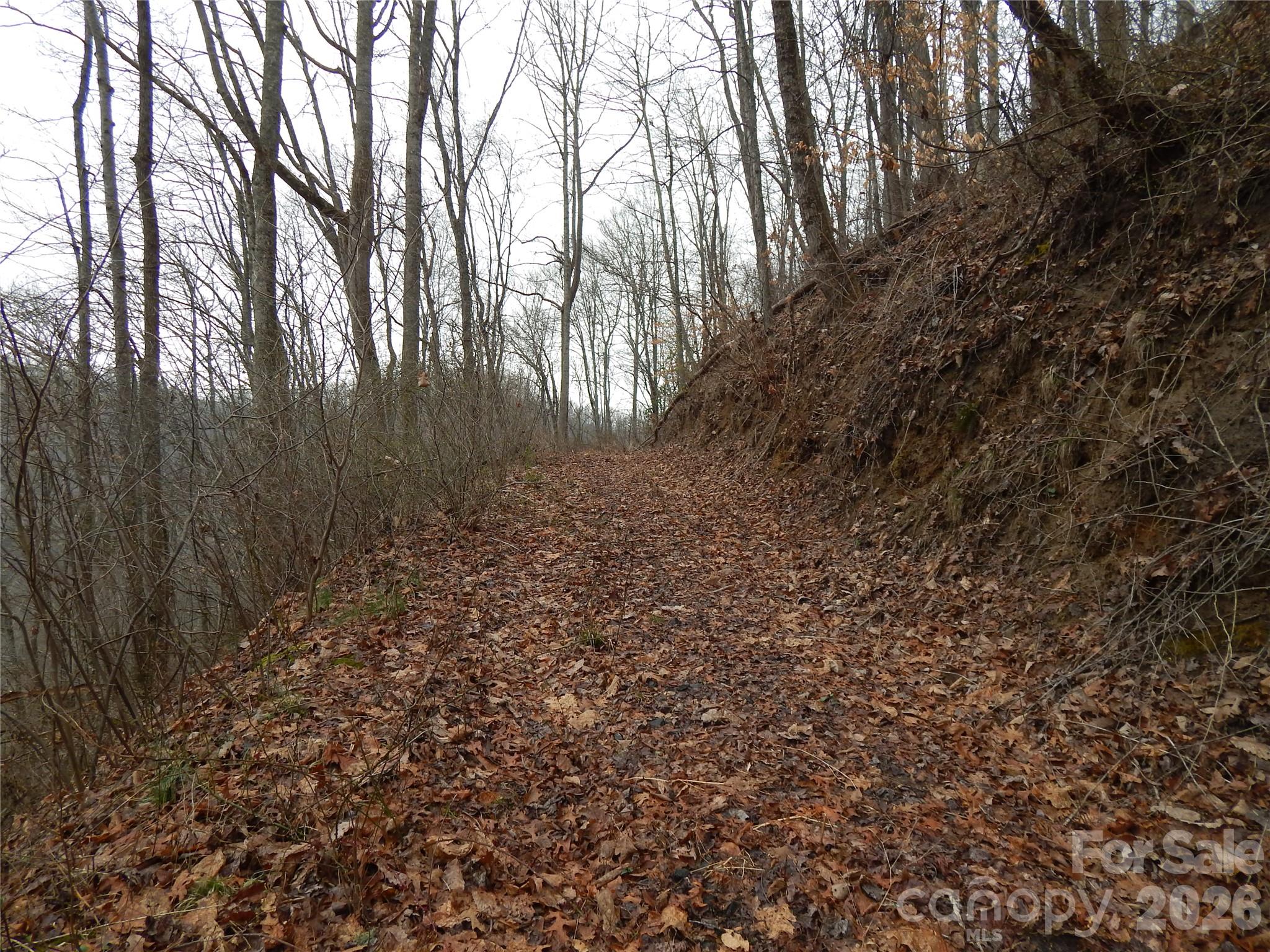Acreage at 00 Henry Road, Sylva, photo 6 of 25