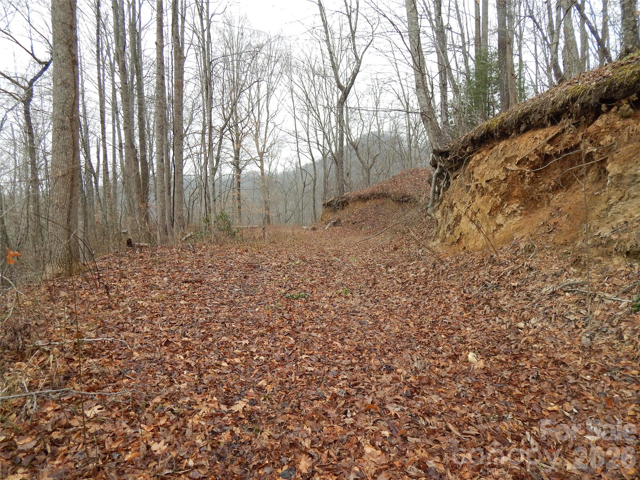 Acreage at 00 Henry Road, Sylva, photo 8 of 25