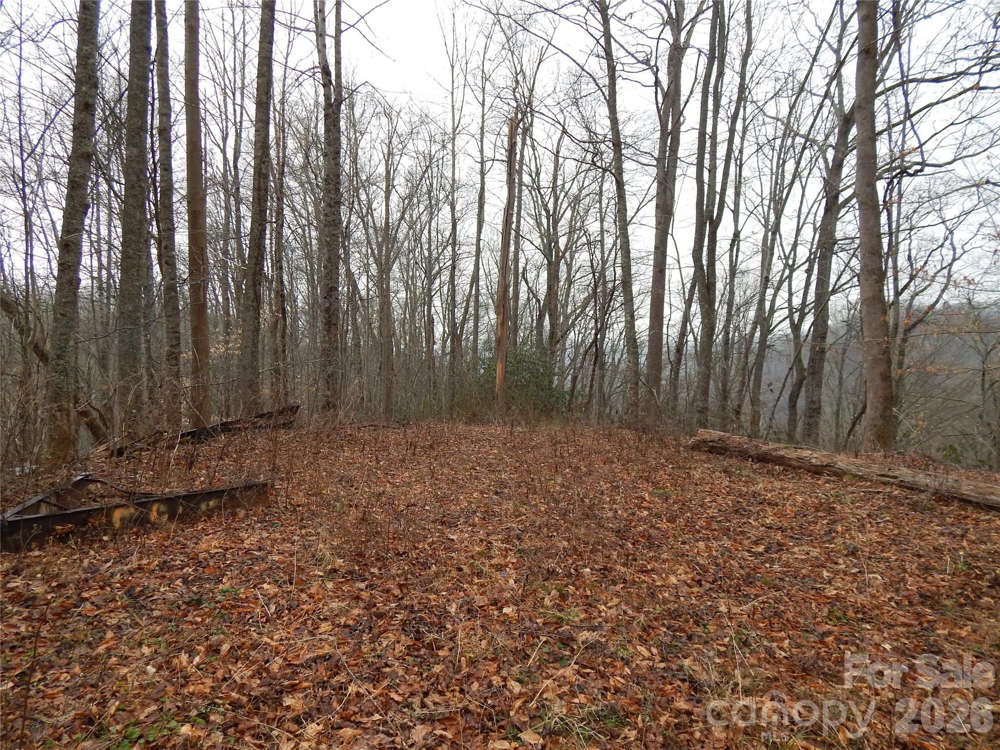 Acreage at 00 Henry Road, Sylva, photo 9 of 25
