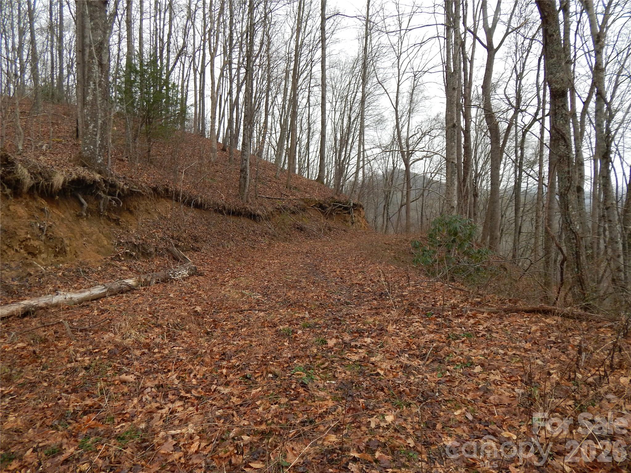 Acreage at 00 Henry Road, Sylva, photo 10 of 25