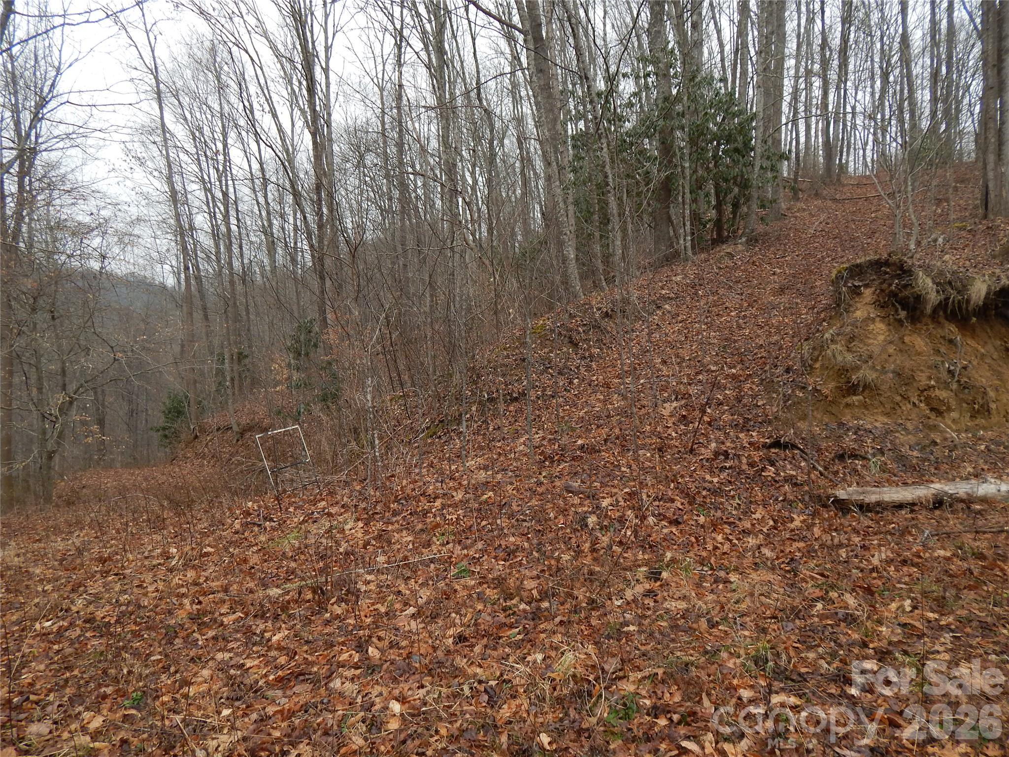 Acreage at 00 Henry Road, Sylva, photo 11 of 25