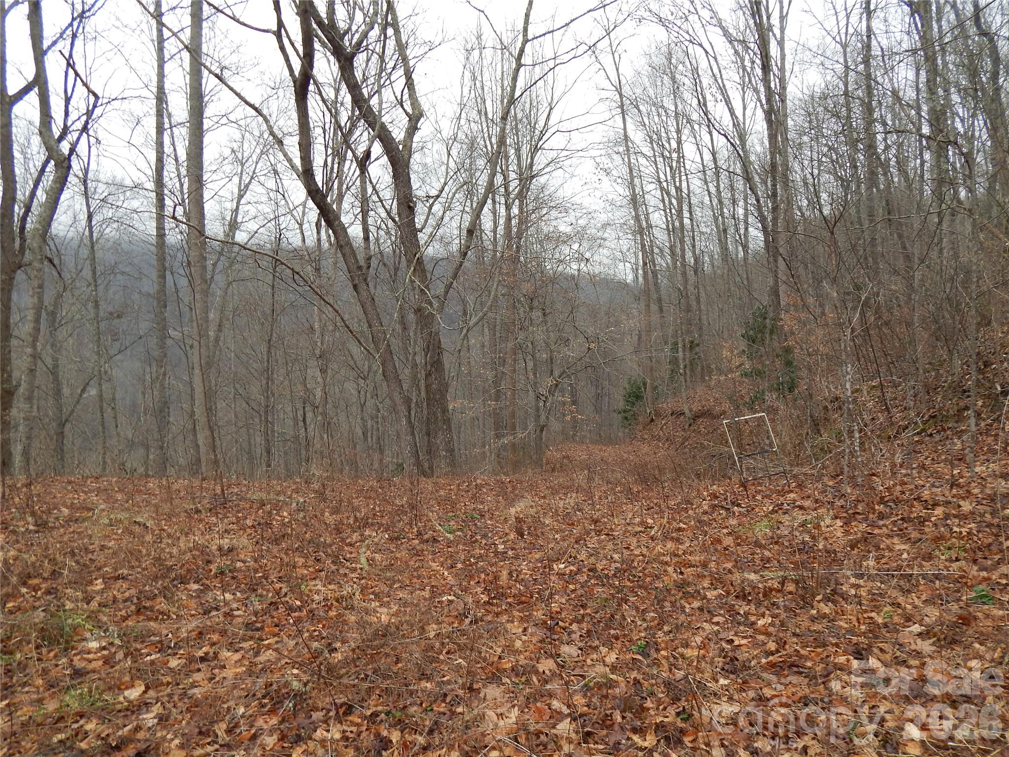 Acreage at 00 Henry Road, Sylva, photo 12 of 25