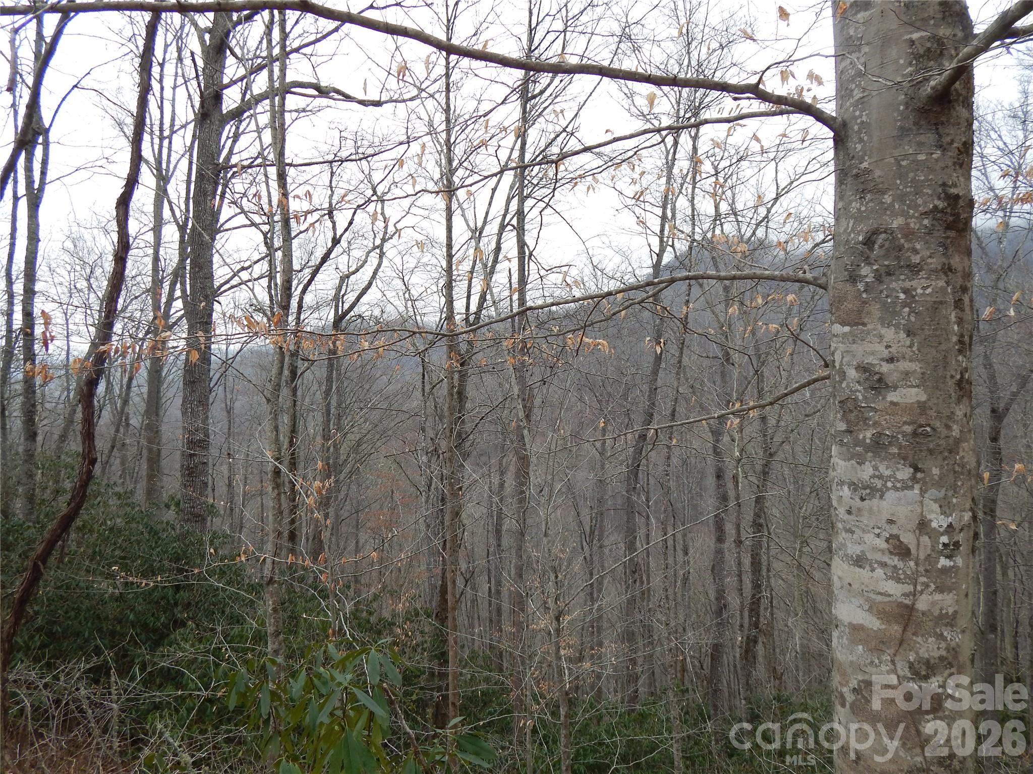 Acreage at 00 Henry Road, Sylva, photo 13 of 25