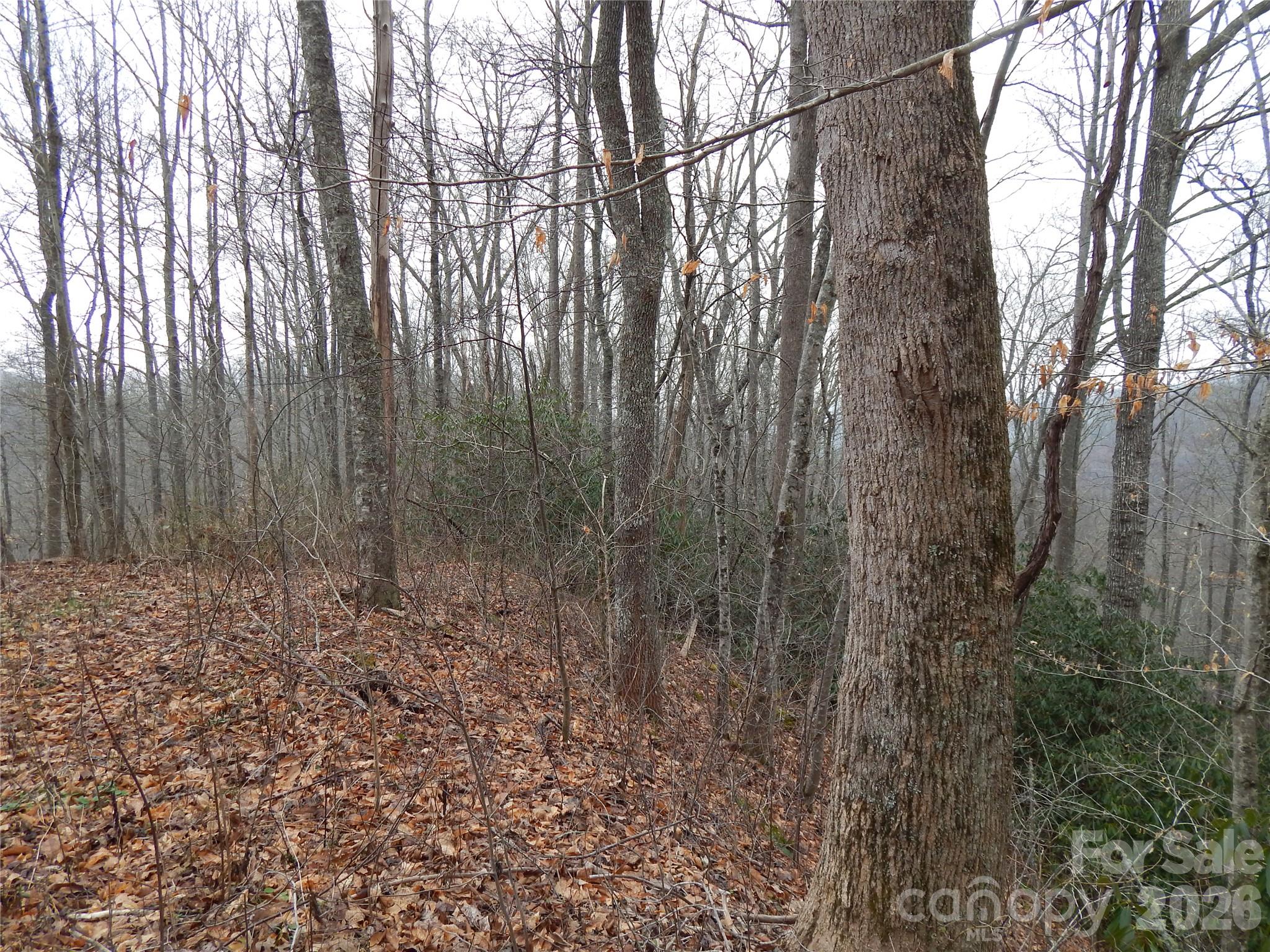 Acreage at 00 Henry Road, Sylva, photo 14 of 25