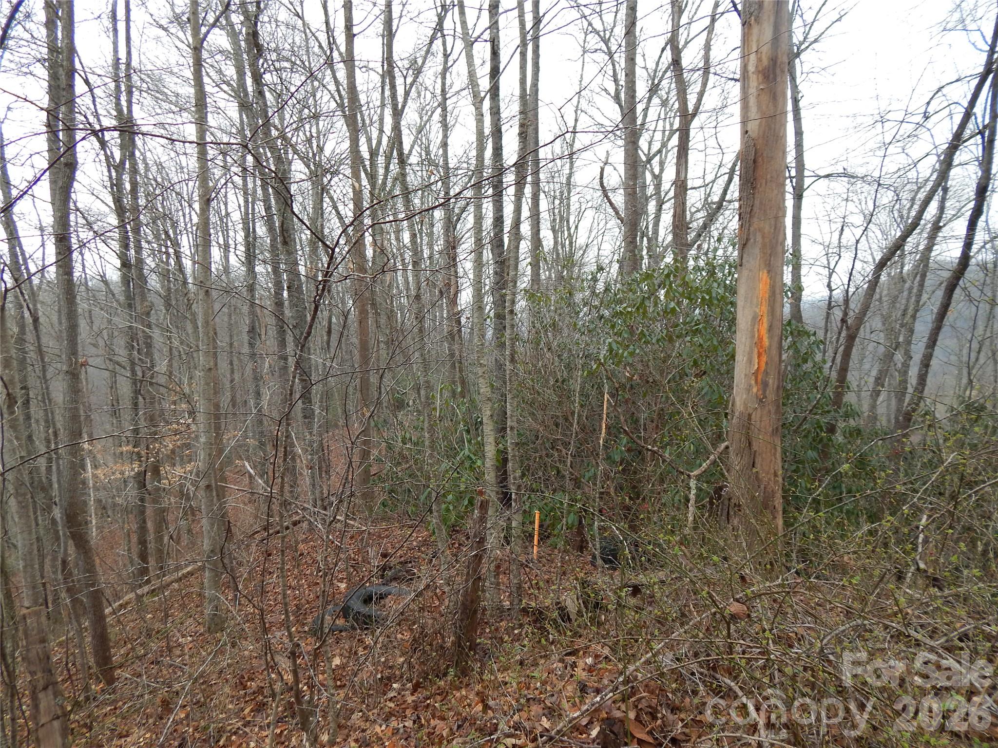 Acreage at 00 Henry Road, Sylva, photo 15 of 25