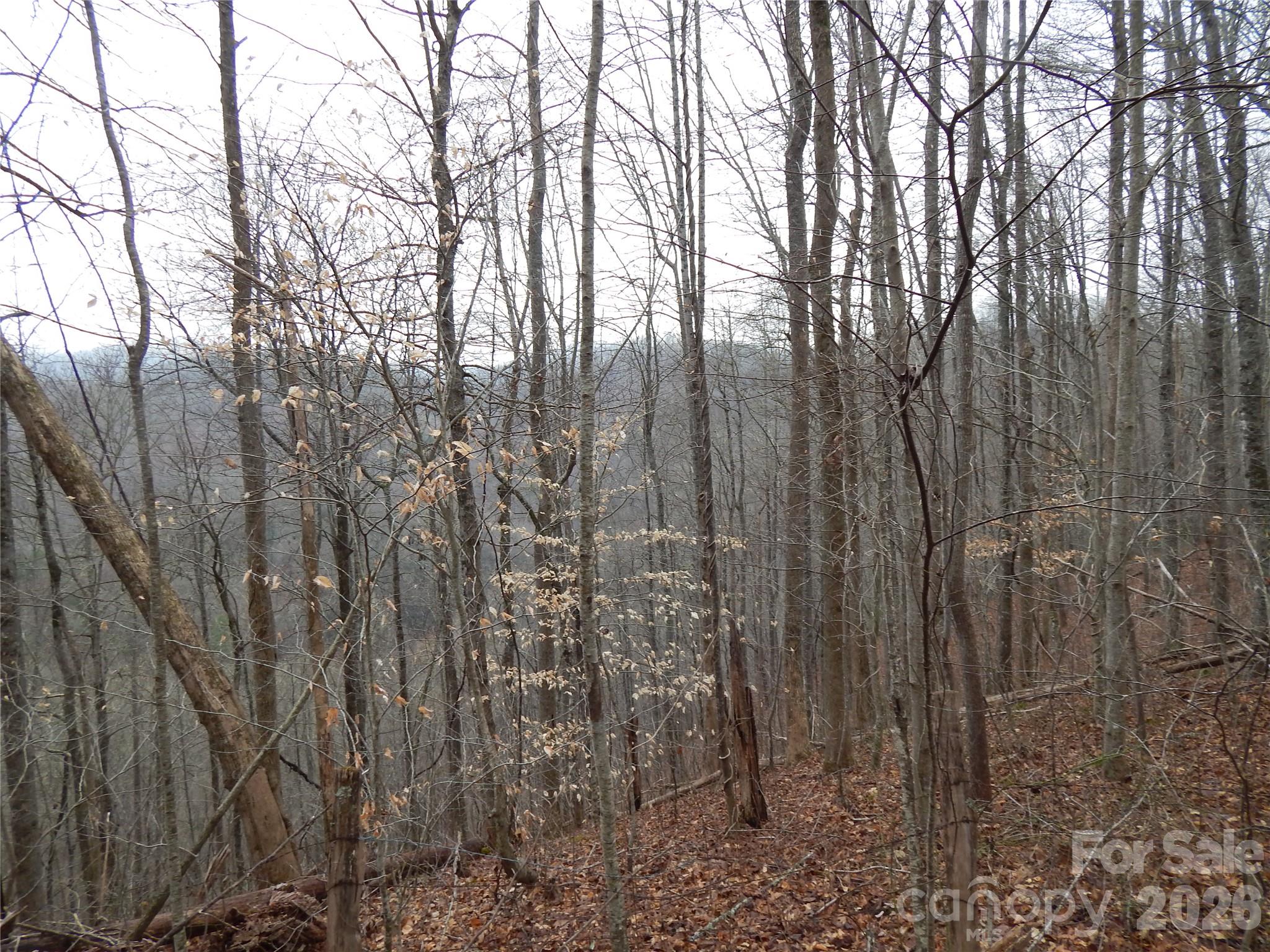 Acreage at 00 Henry Road, Sylva, photo 16 of 25