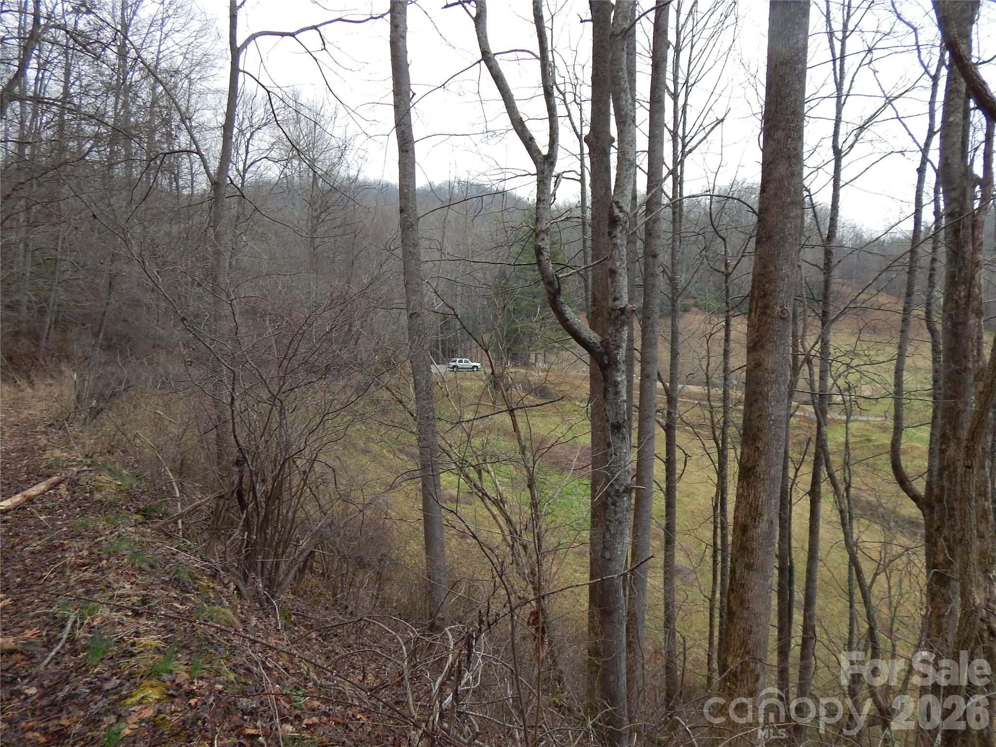 Acreage at 00 Henry Road, Sylva, photo 17 of 25