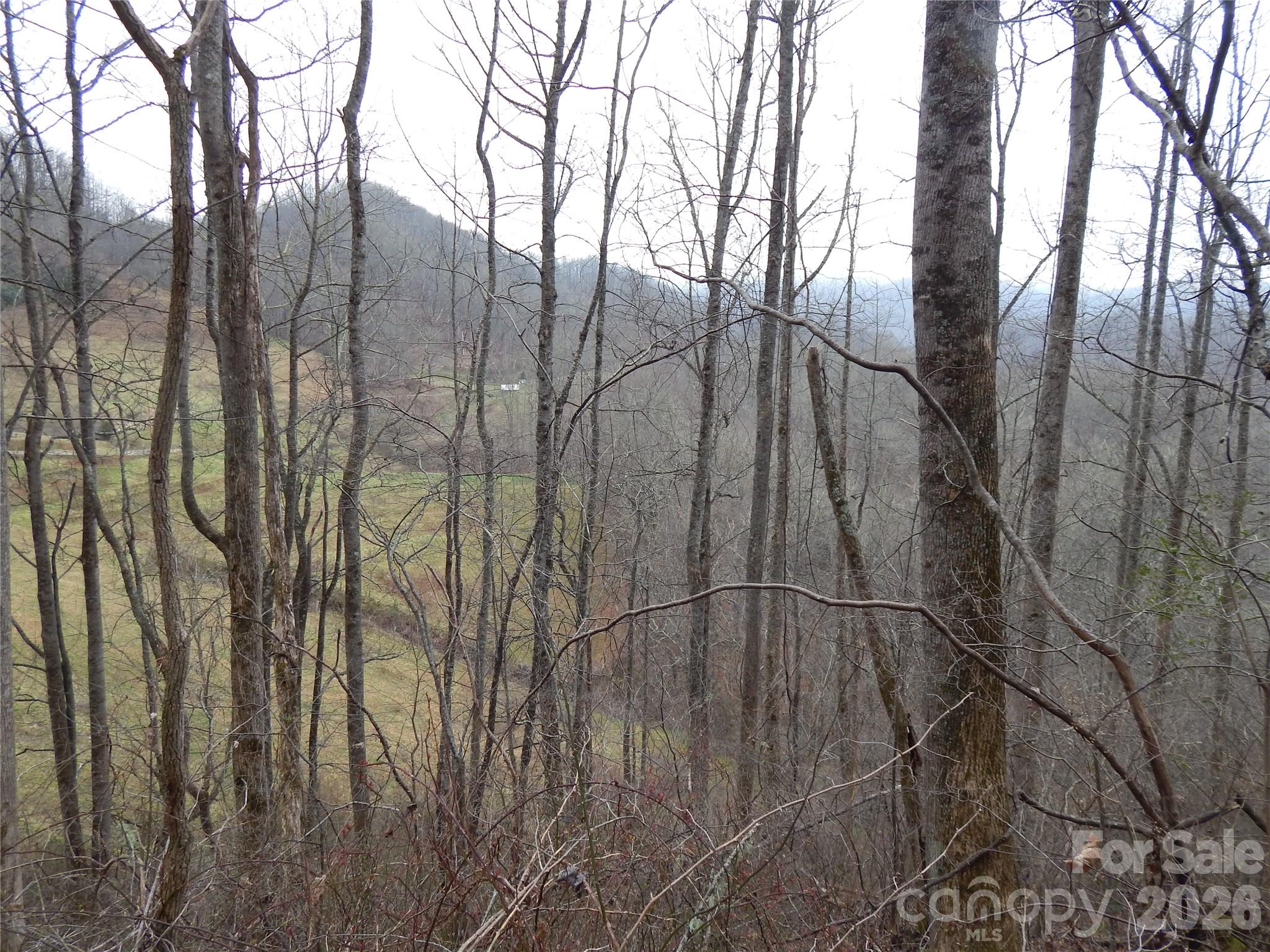 Acreage at 00 Henry Road, Sylva, photo 18 of 25