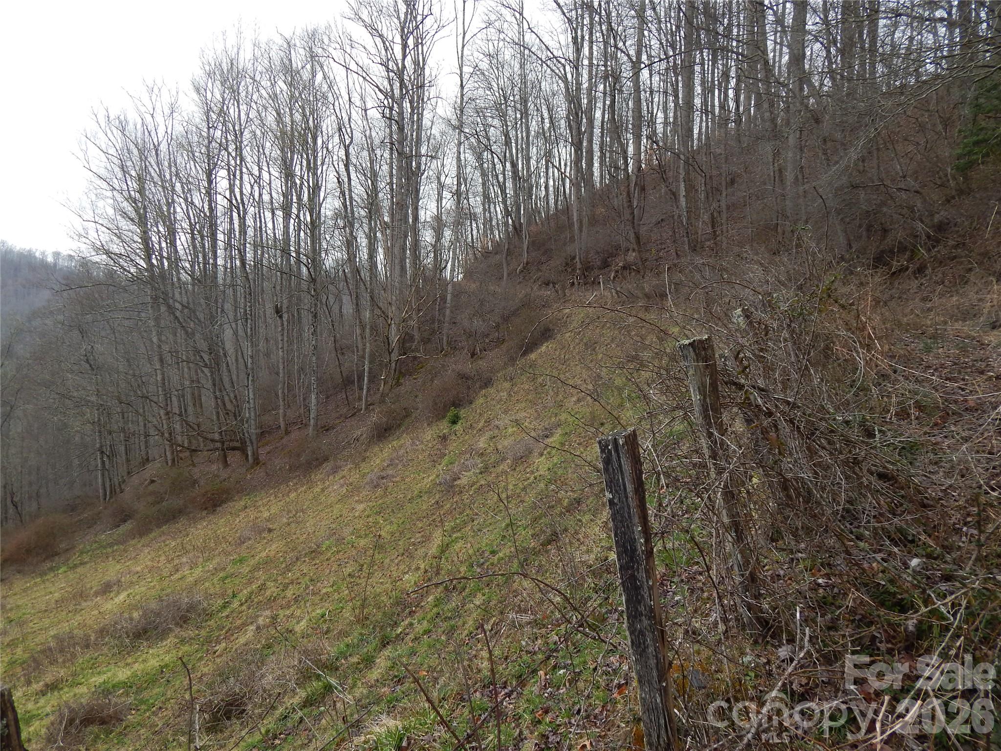 Acreage at 00 Henry Road, Sylva, photo 22 of 25