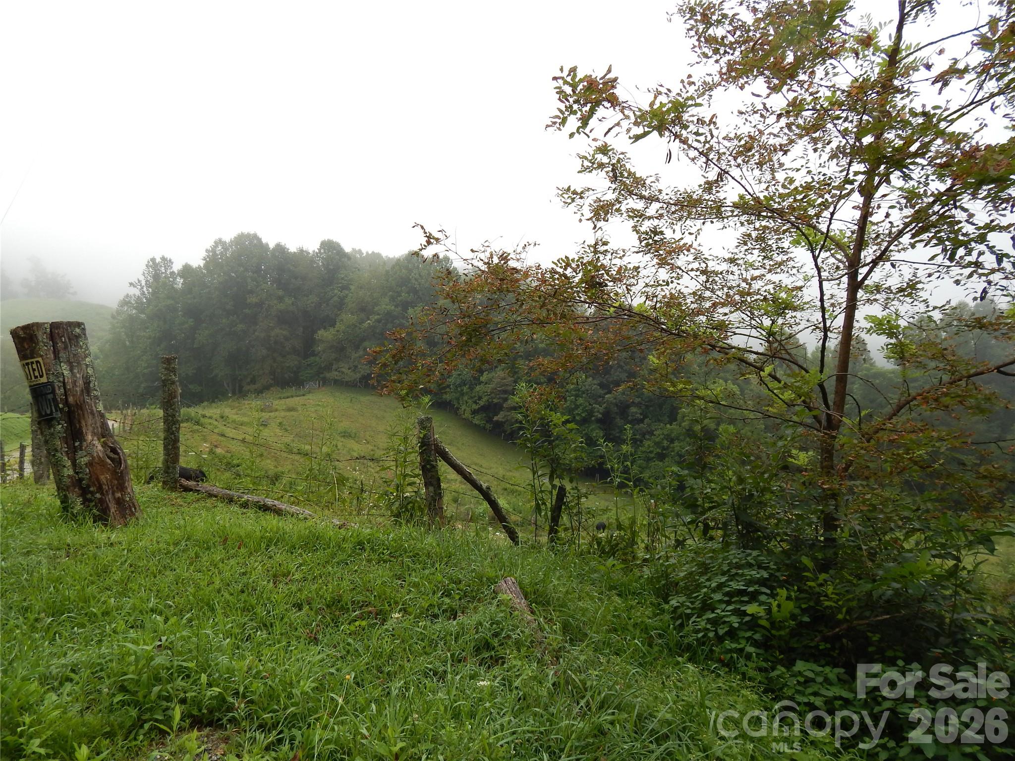 Acreage at 00 Henry Road, Sylva, photo 2 of 25