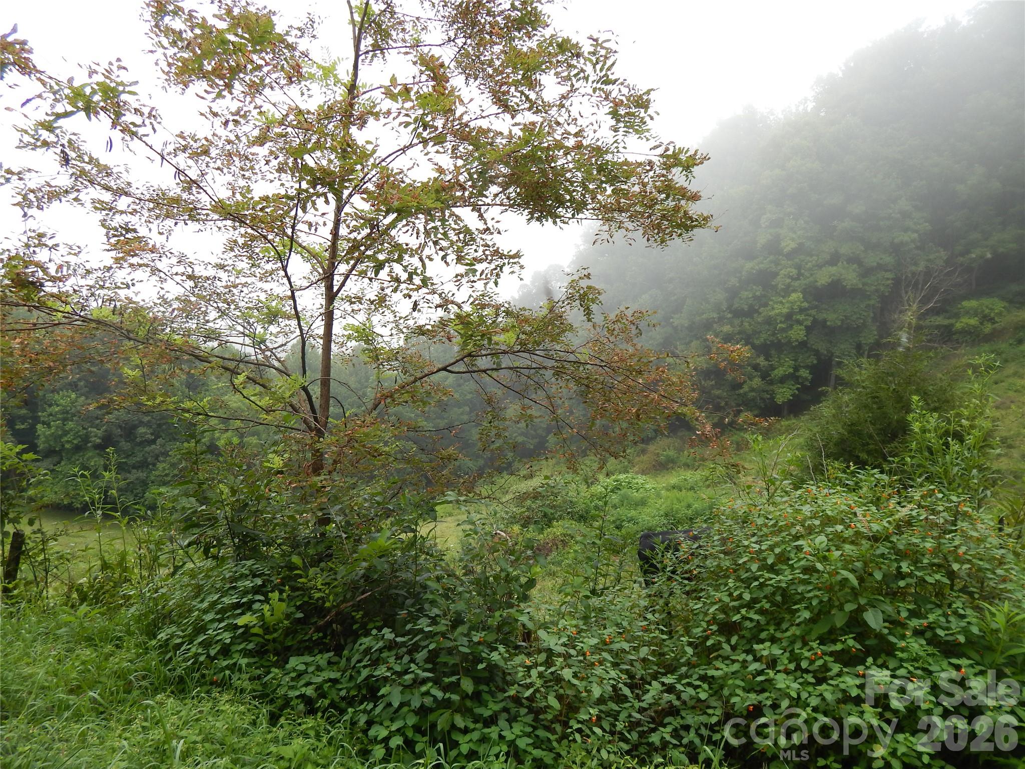 Acreage at 00 Henry Road, Sylva, photo 3 of 25