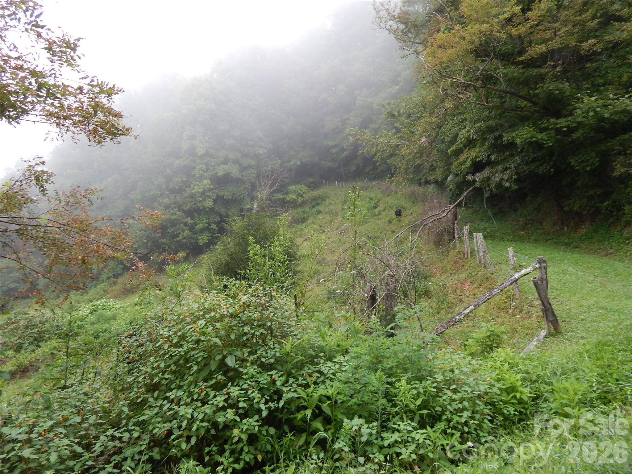 Acreage at 00 Henry Road, Sylva, photo 4 of 25