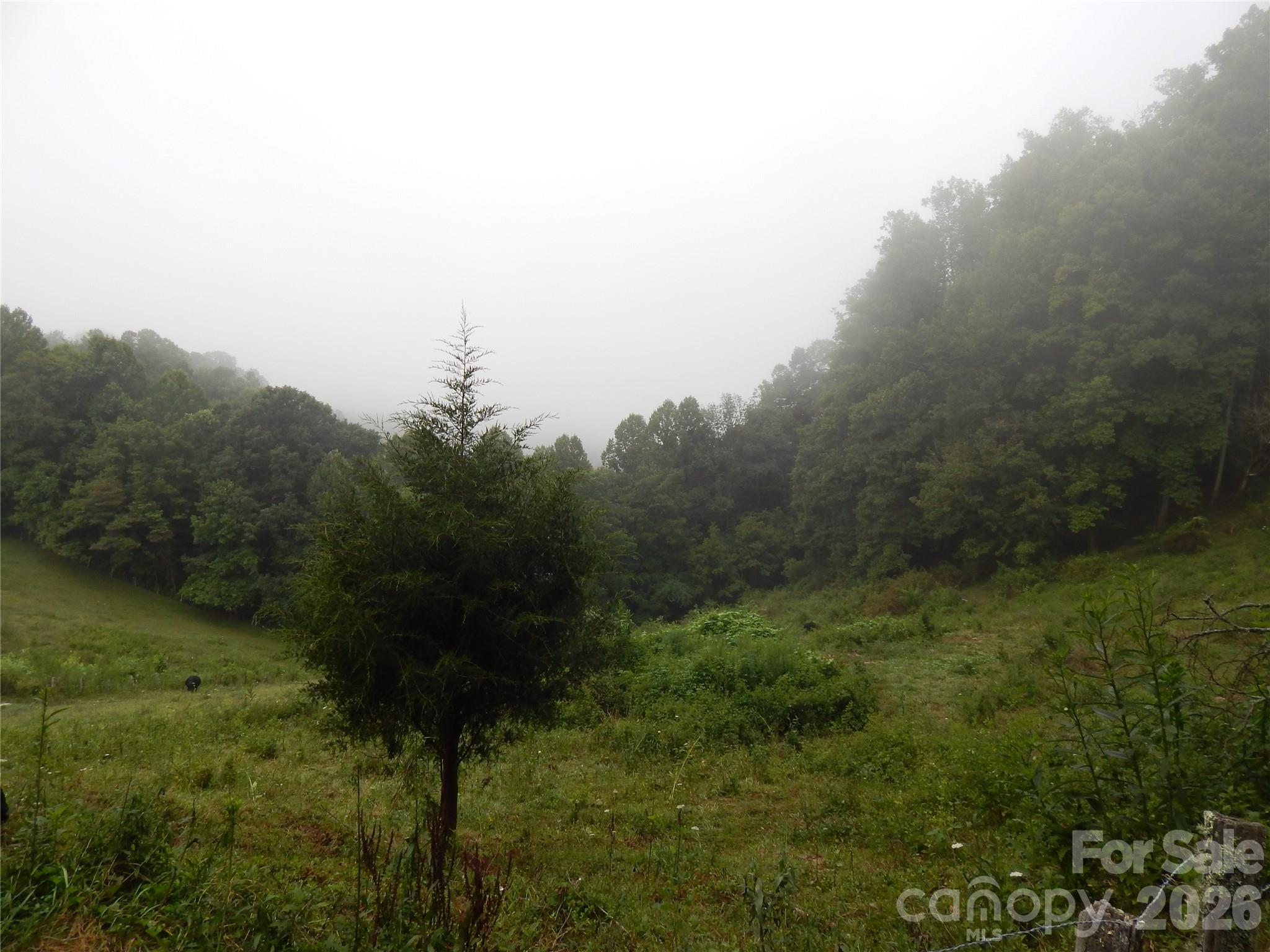 Acreage at 00 Henry Road, Sylva, photo 24 of 25