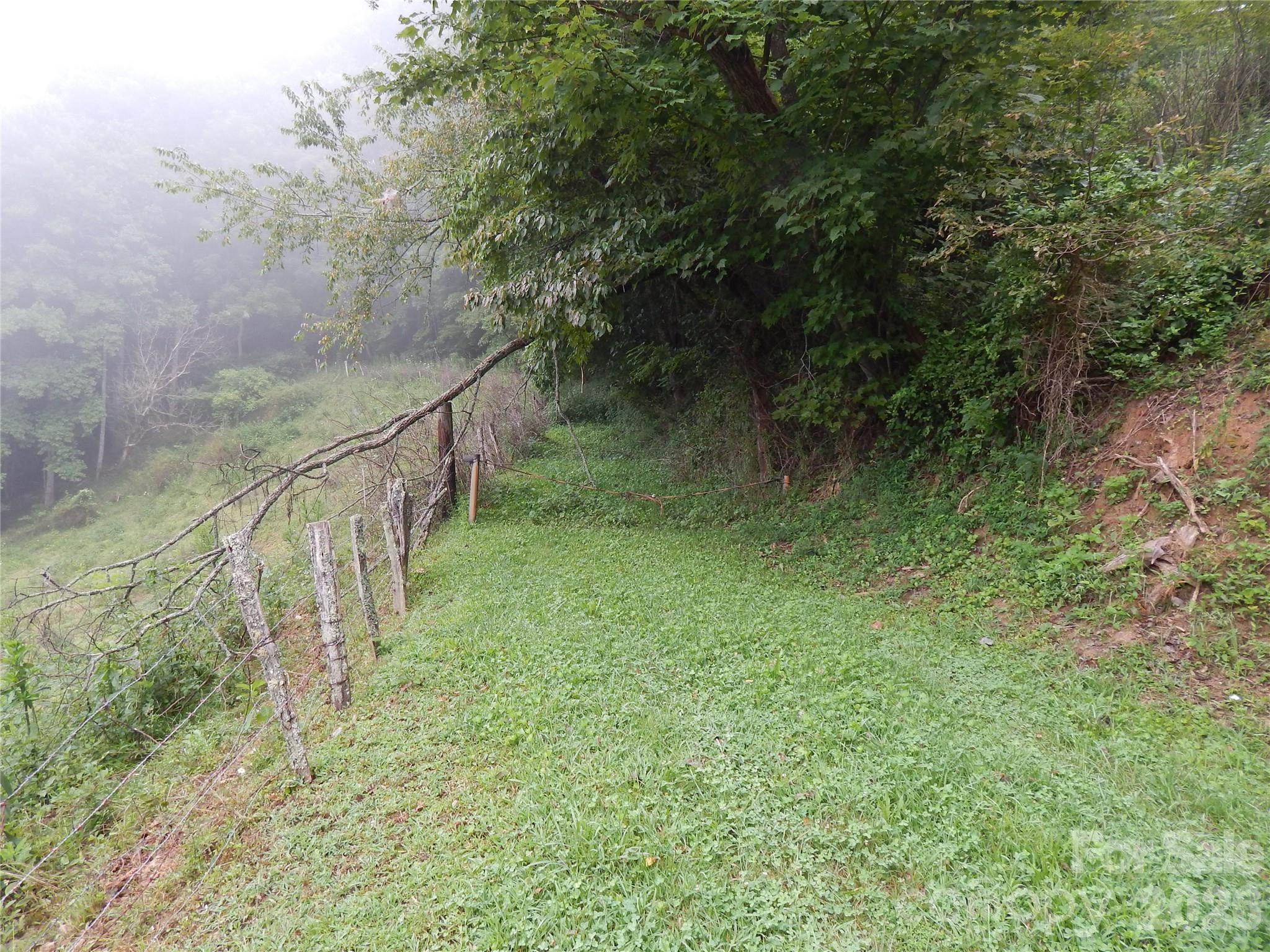 Acreage at 00 Henry Road, Sylva, photo 5 of 25