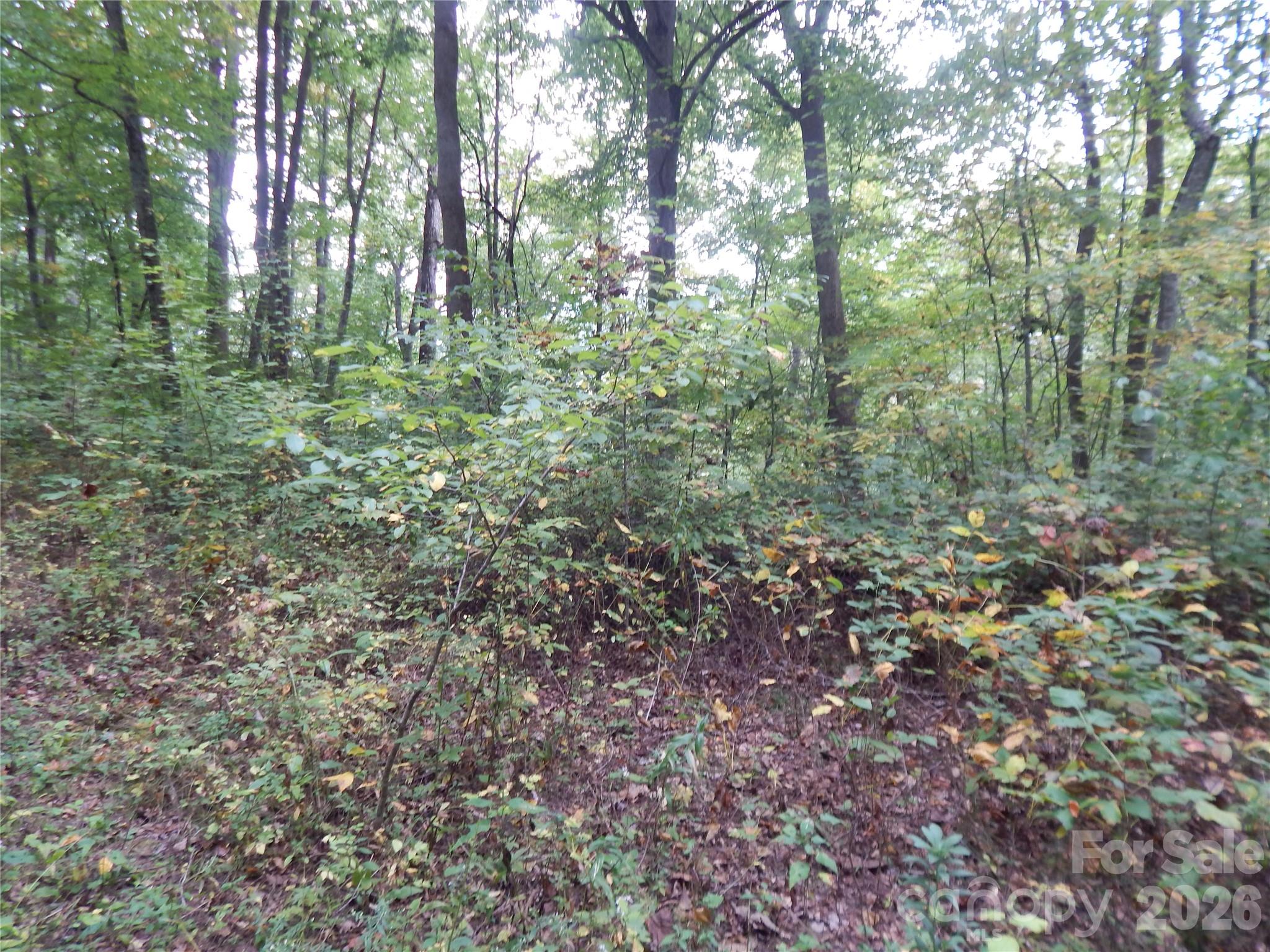 Acreage at 00 Henry Road, Sylva, photo 19 of 25