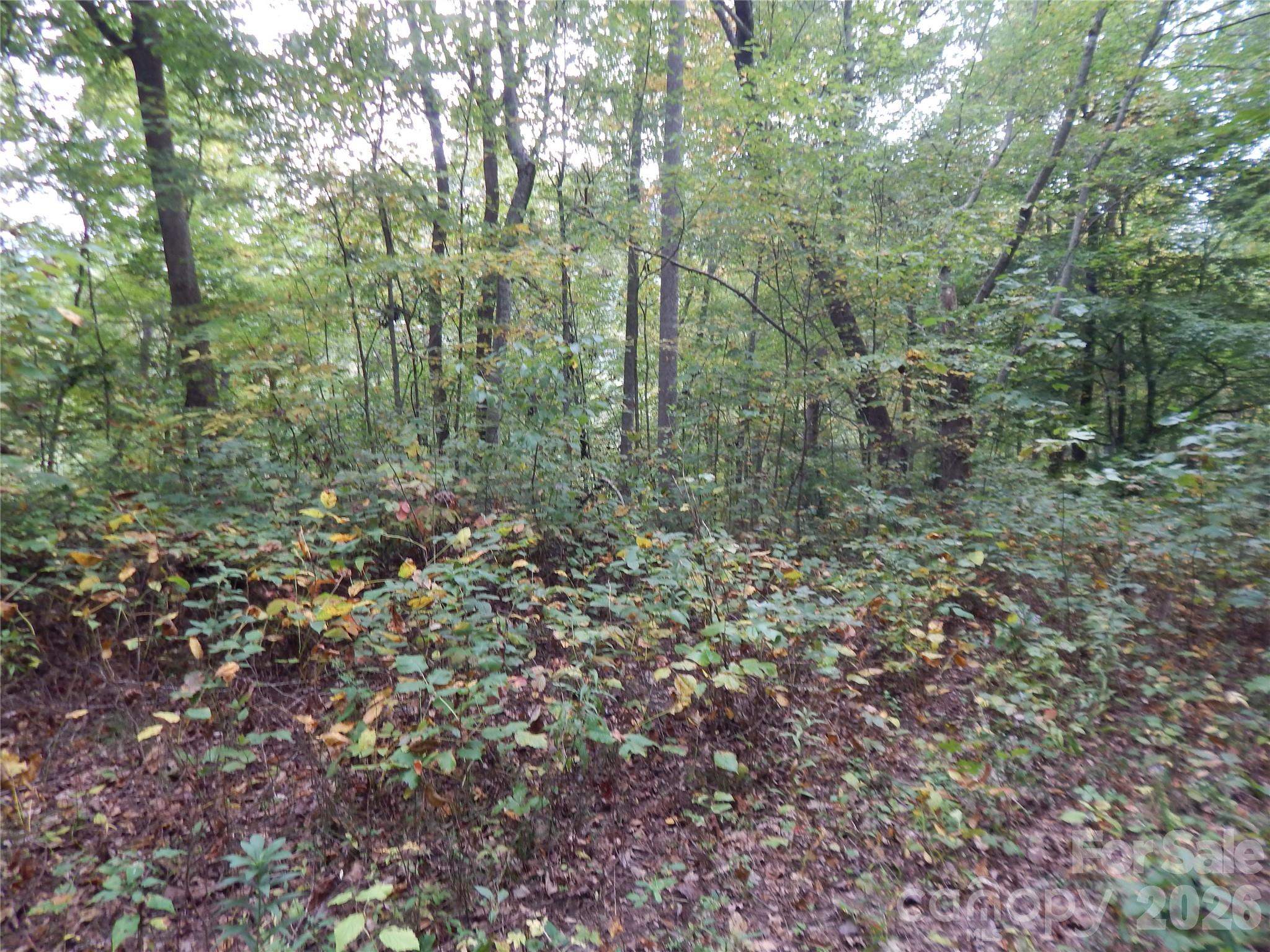 Acreage at 00 Henry Road, Sylva, photo 20 of 25