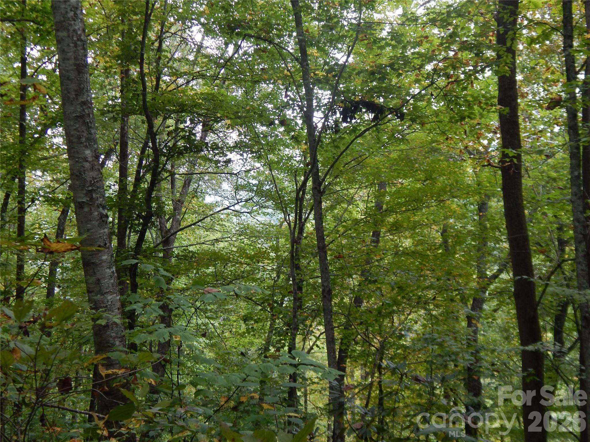 Acreage at 00 Henry Road, Sylva, photo 25 of 25