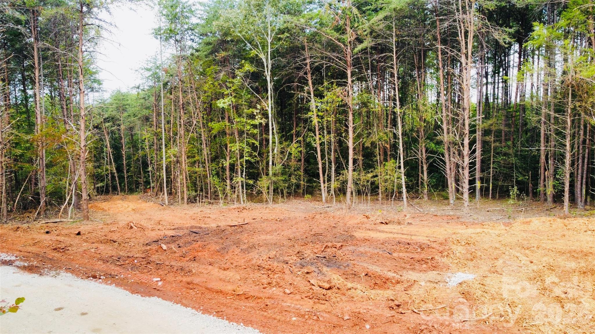 Mostly level site with surrounding trees - 3542 Vilas Drive, Claremont