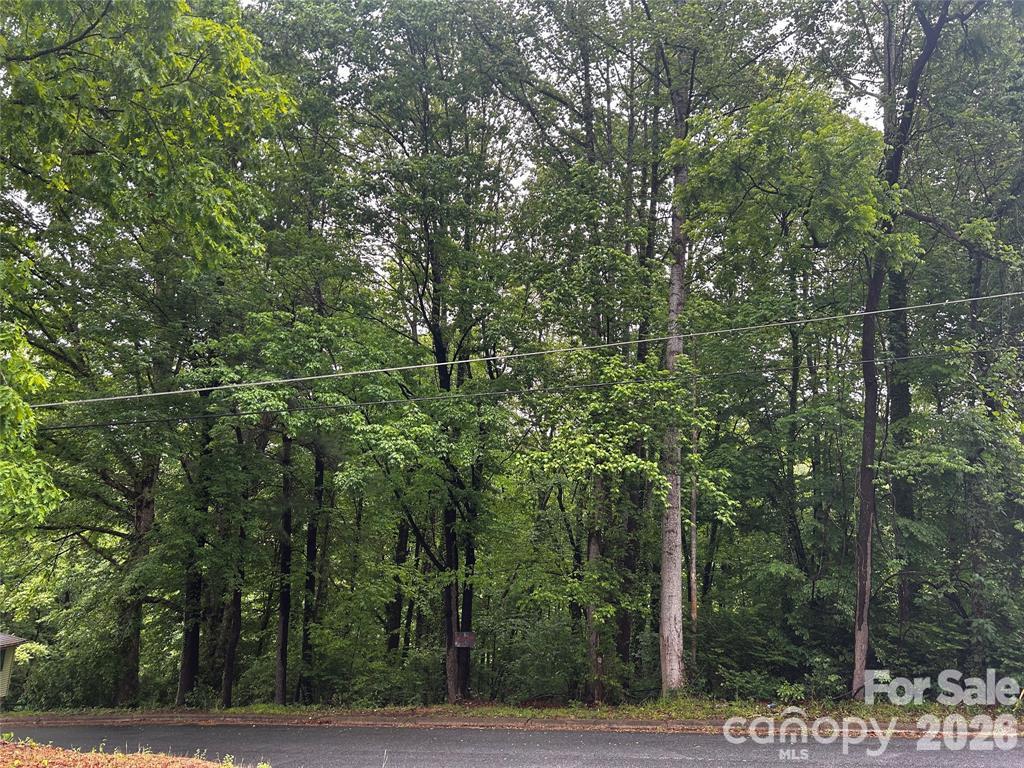 Lot at TBD Prospect Street NW, Lenoir, photo 4 of 4