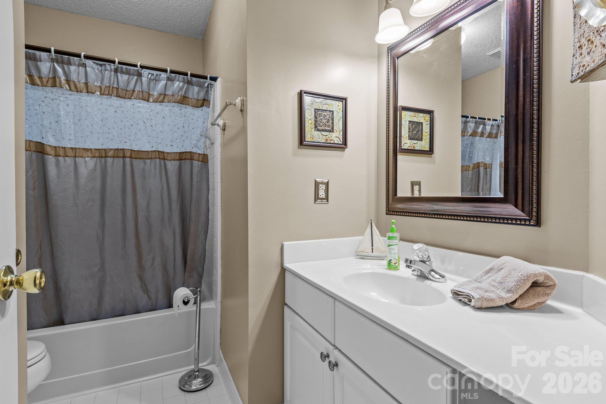 Condominium at 18669 Vineyard Point Lane, Cornelius, photo 18 of 22