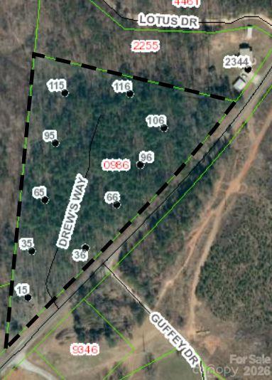 Lot at 95 Vein Mountain Road, Dysartsville, photo 2 of 18