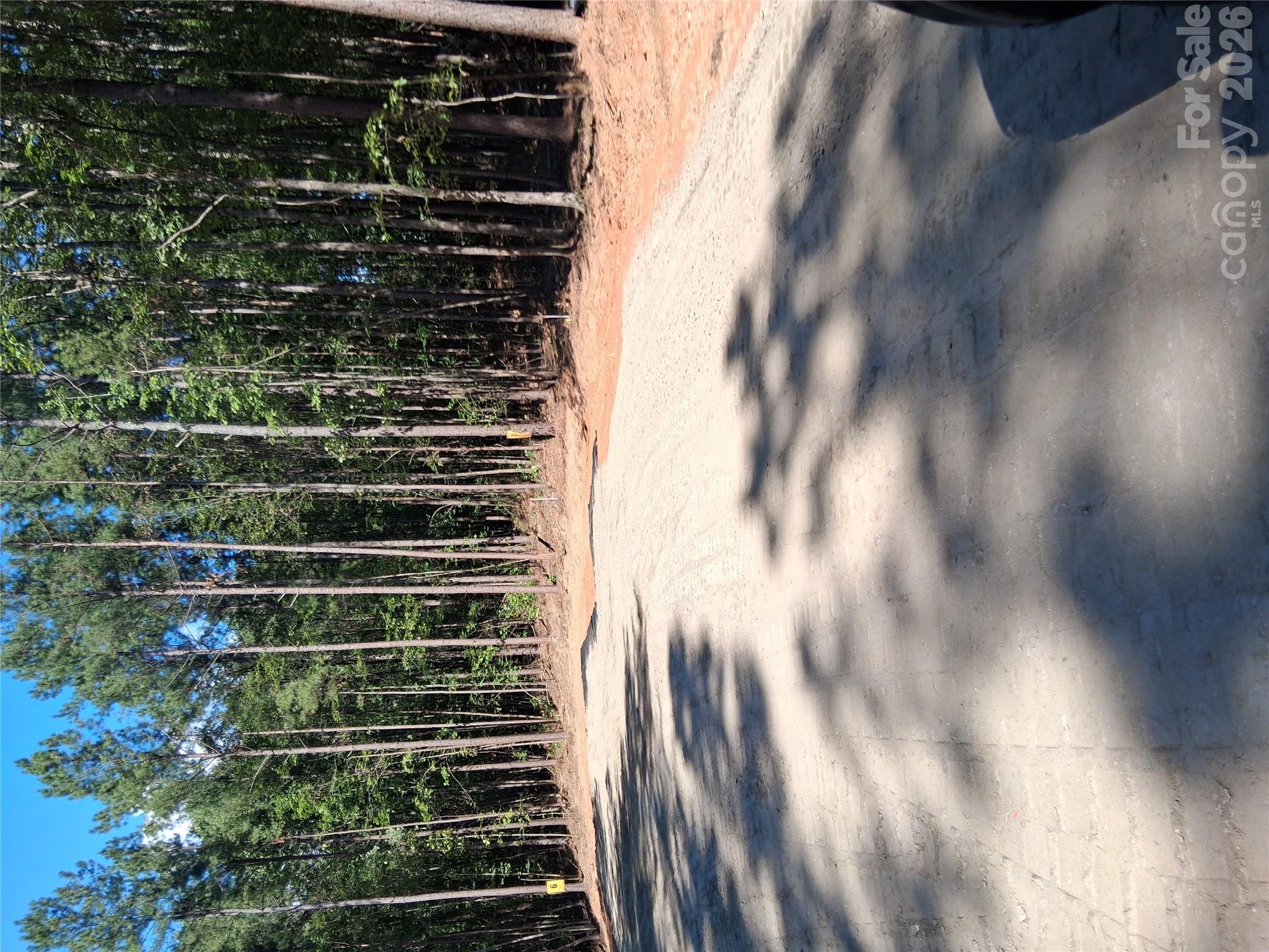 Lot at 95 Vein Mountain Road, Dysartsville, photo 10 of 18