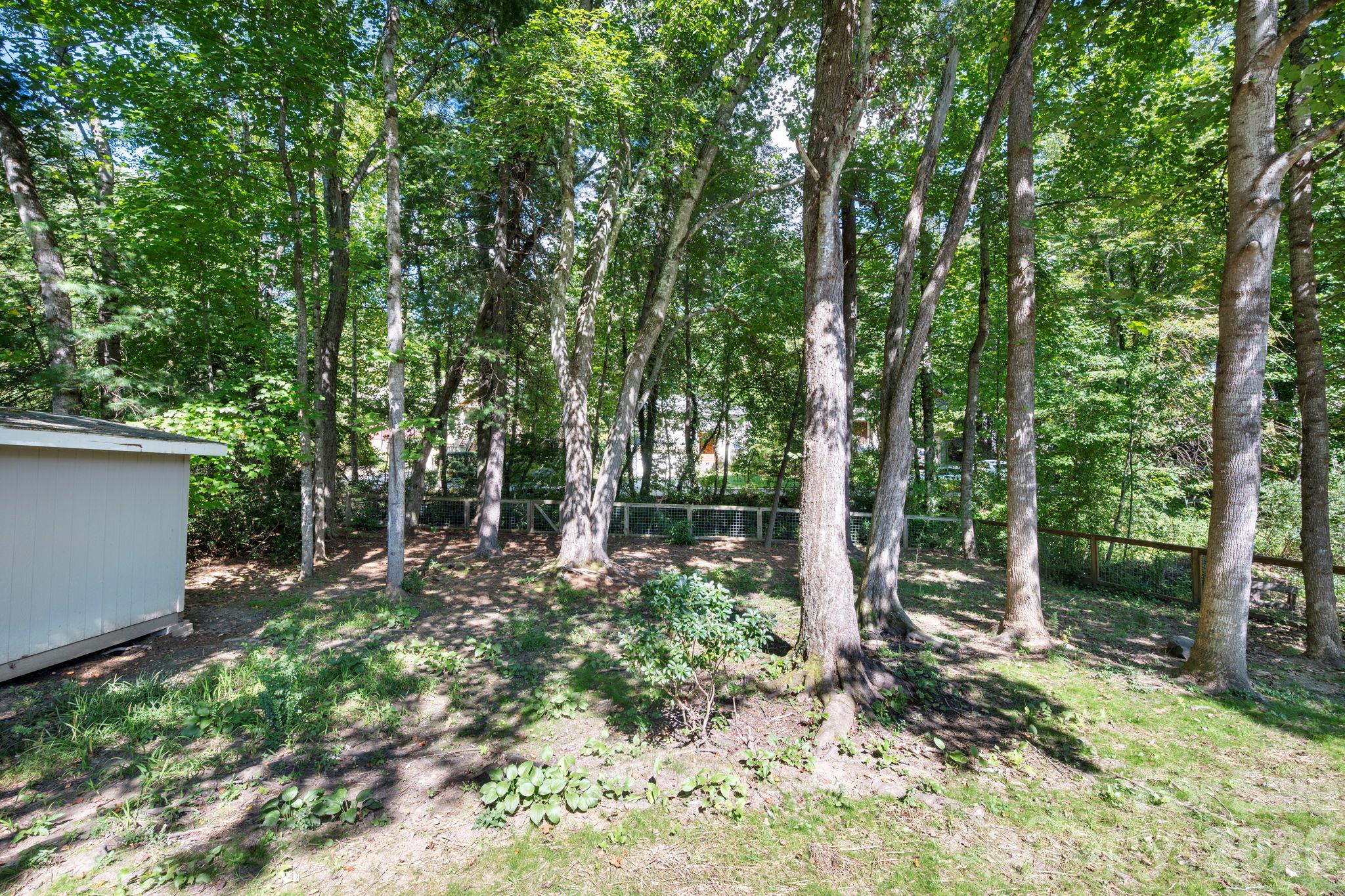 Mature Trees - 340 Genesis Circle, Black Mountain