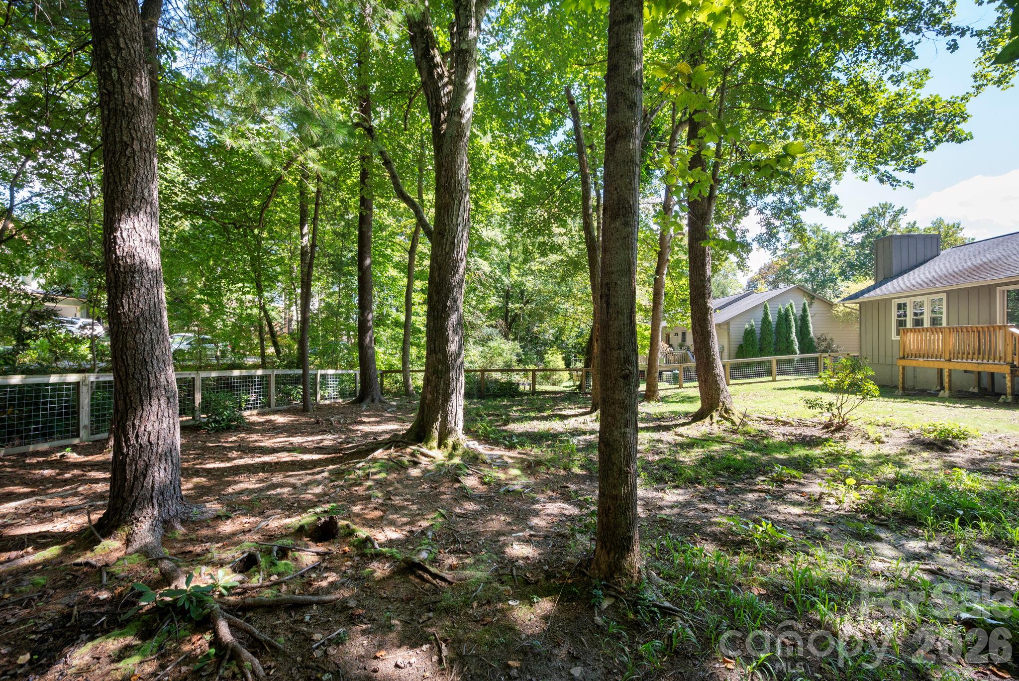 Shaded Area of Yard - 340 Genesis Circle, Black Mountain